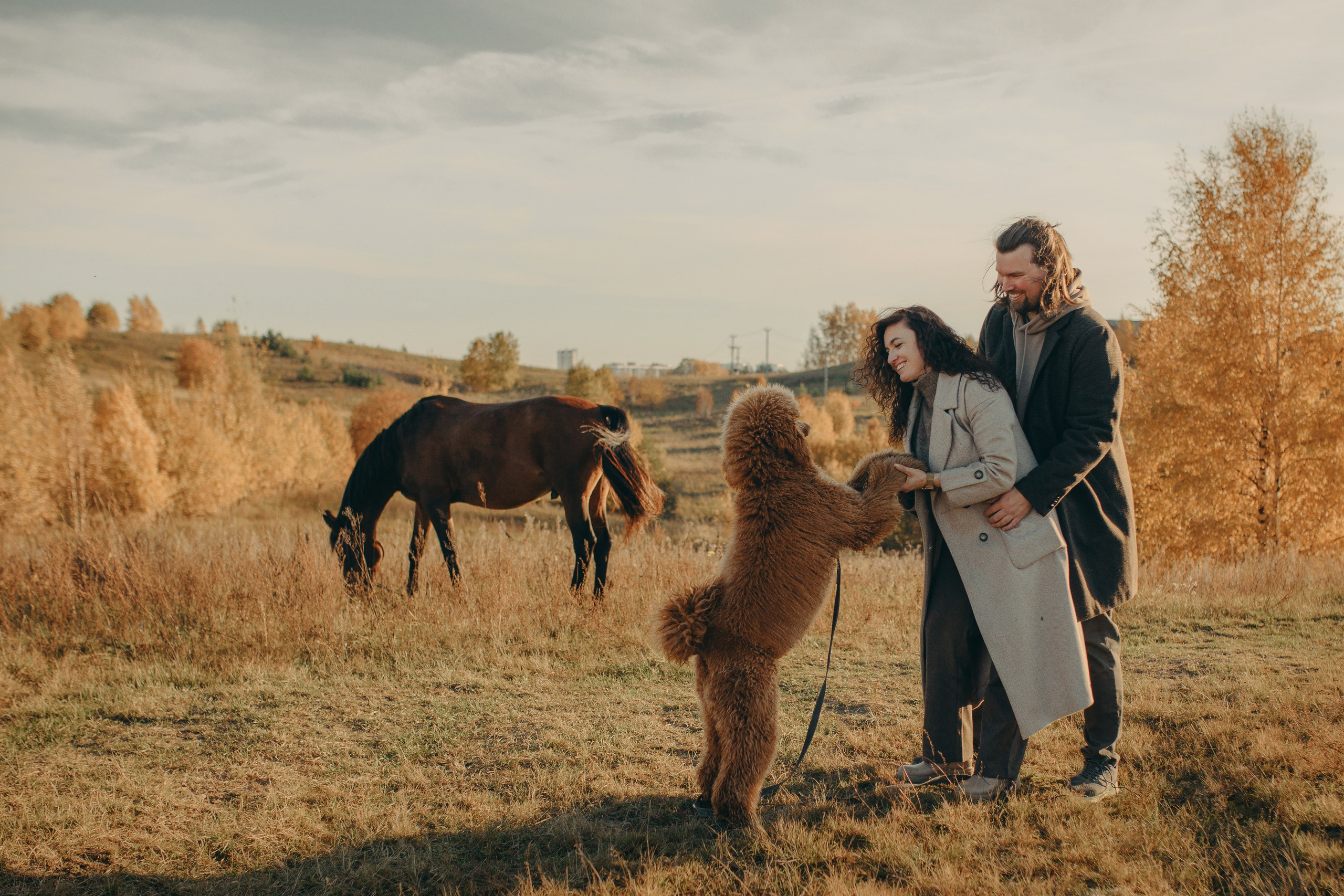 Наши пушистые дети. Главная