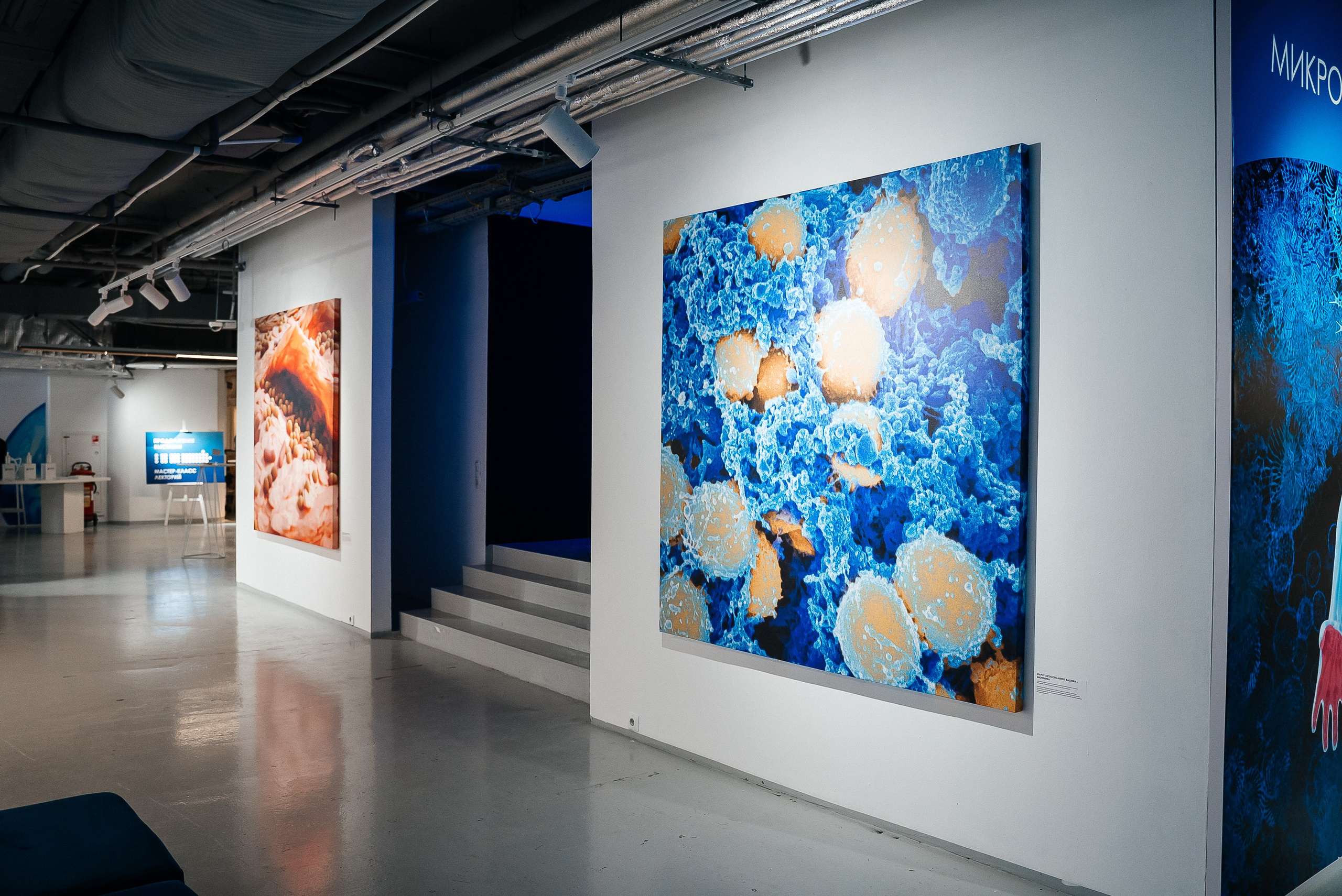 La Roche Posay. Павел Краснов — Свадебный и репортажный фотограф в Москве