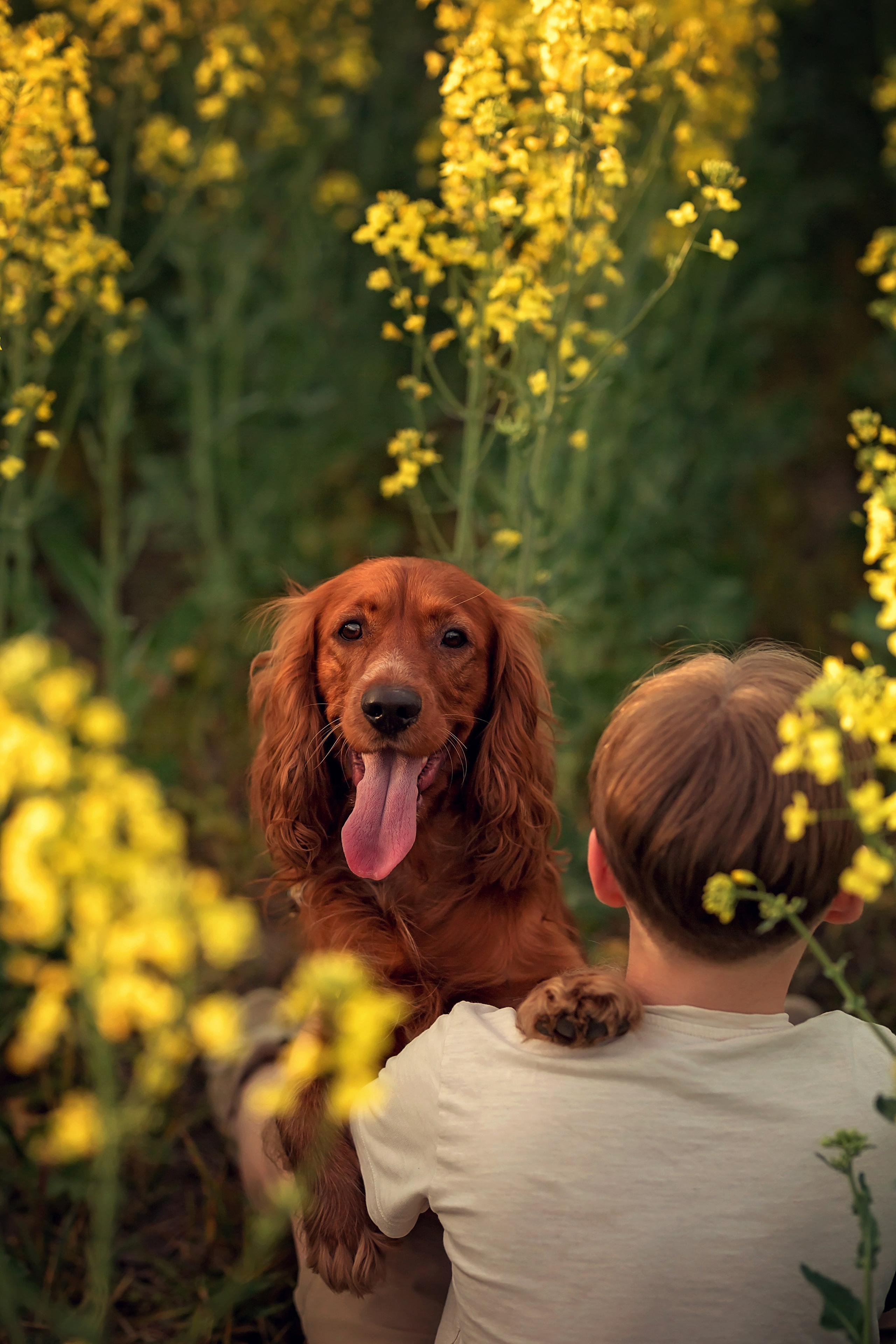 Рапс. Семейный и детский фотограф Екатерина Савёлова
