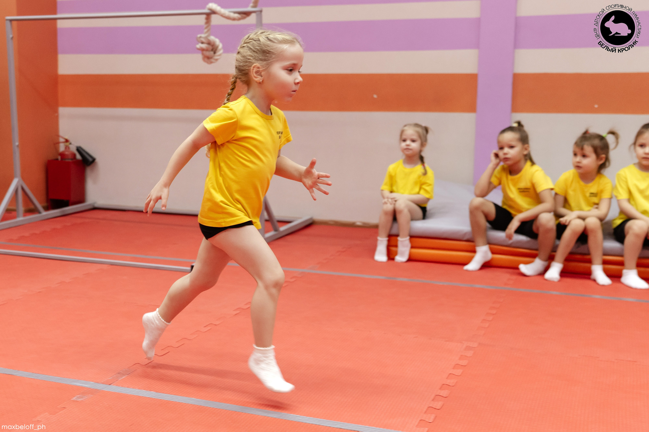 Белый кролик. Соревнования. Семейный фотограф — Макс Белогрудов