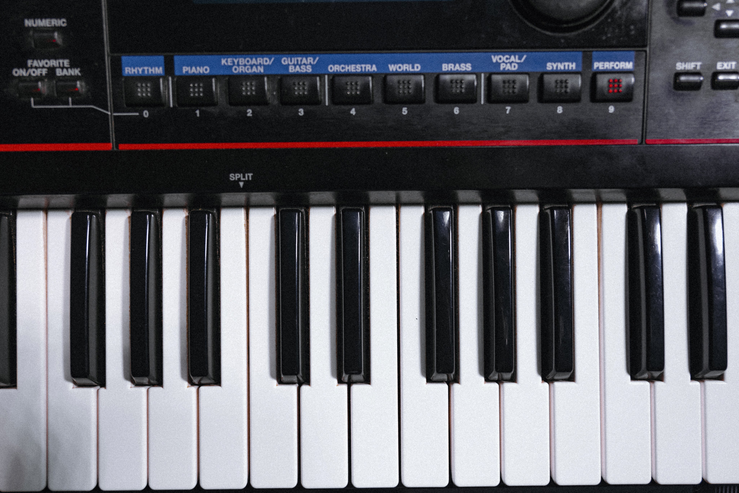 Lika KINO.A. Максим Комаров — Профессиональный фотограф