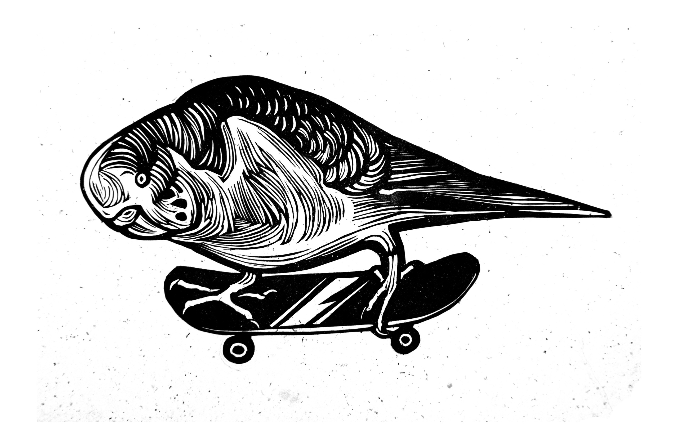 Птички. Фотографии Юлия Стремского