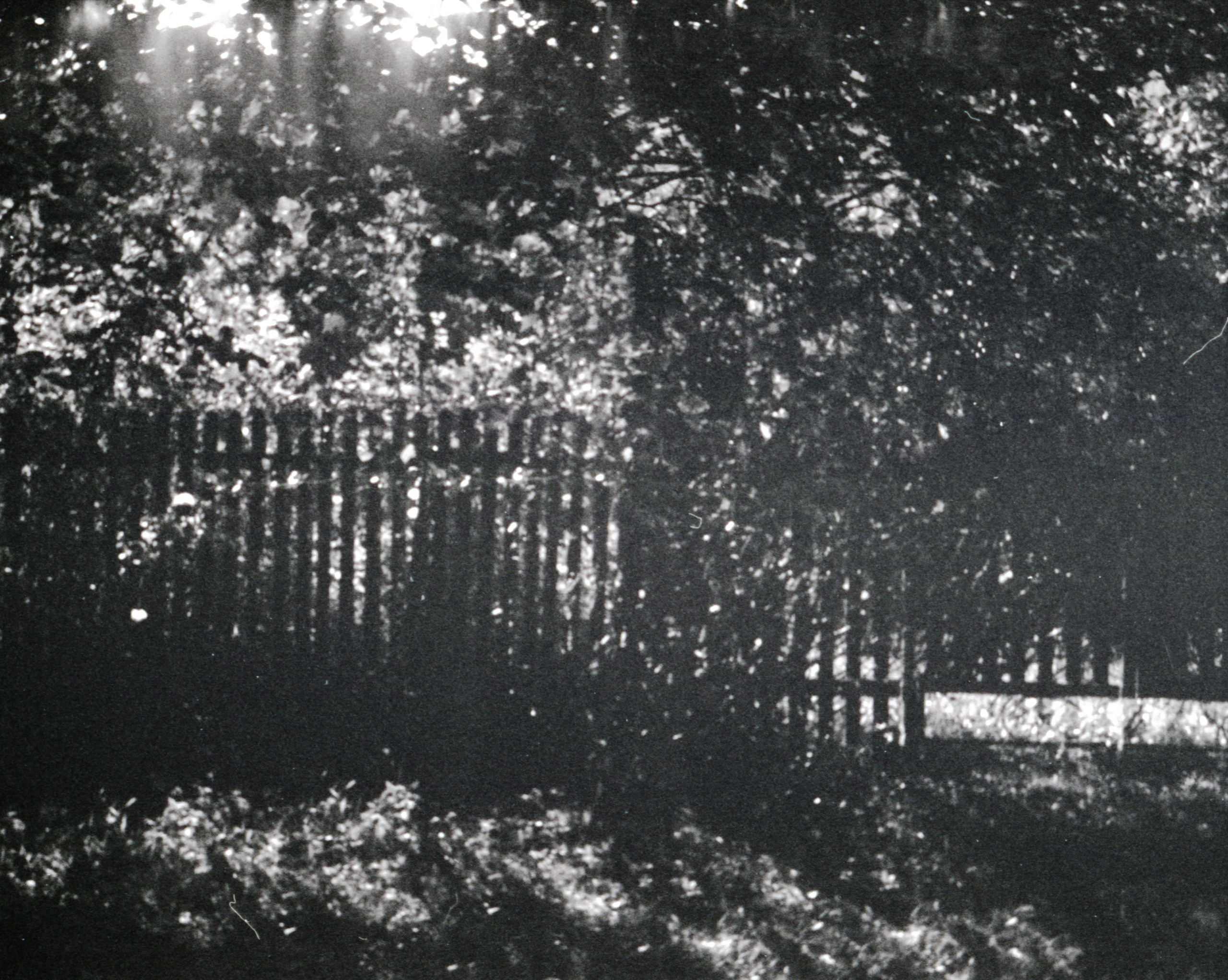 Эрозия памяти. Татьяна Белякова — Фотохудожник | Концептуальная аналоговая фотография