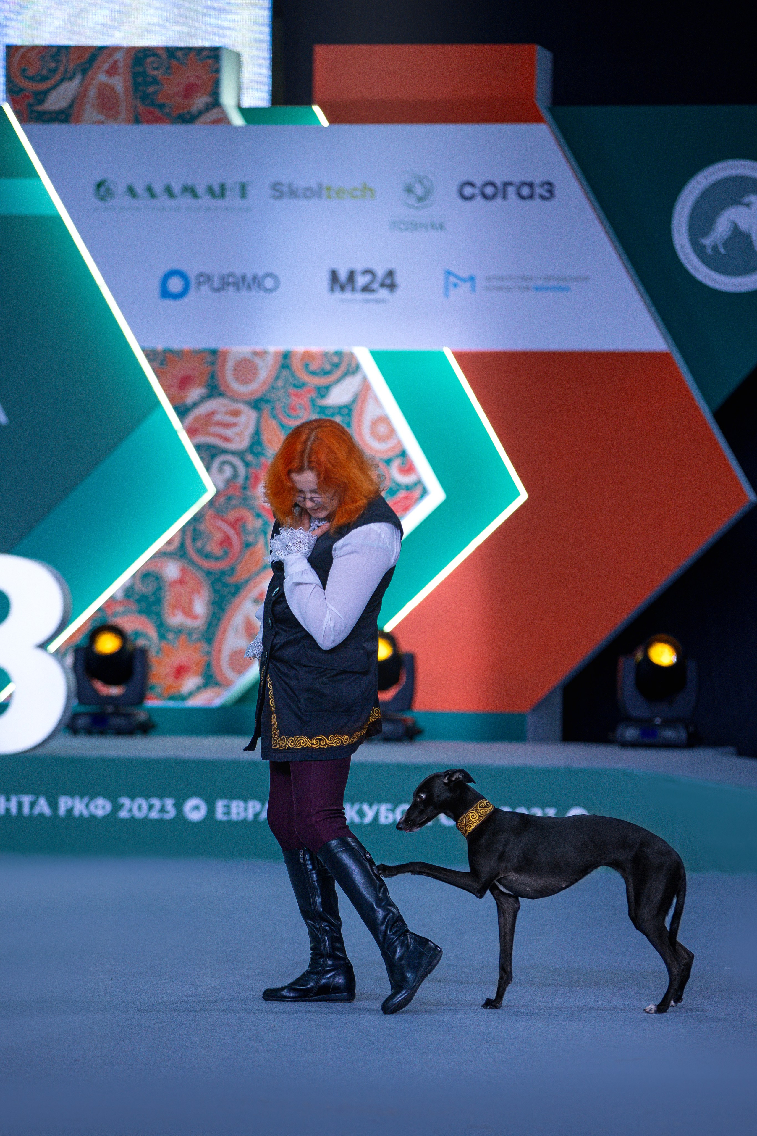 Выставки. Фотограф анималист в Москве Майорова Евгения