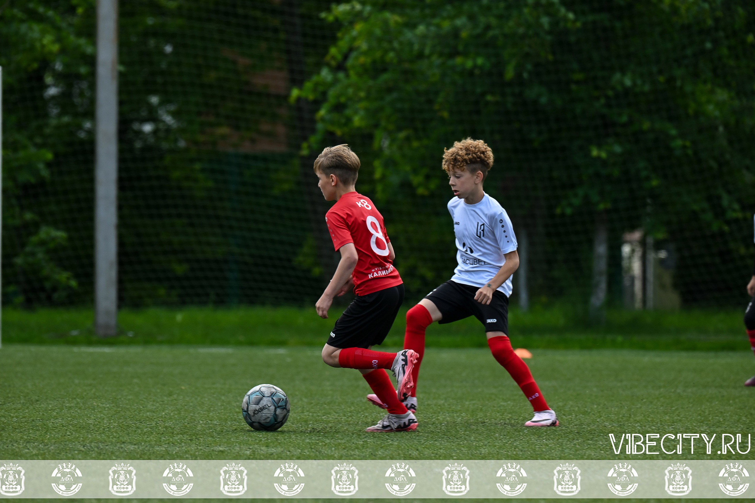 Большие Звезды светят Малым. VIBECITY.RU Вайб Сити Ру Фоторепортажи Фотоотчеты Калининград