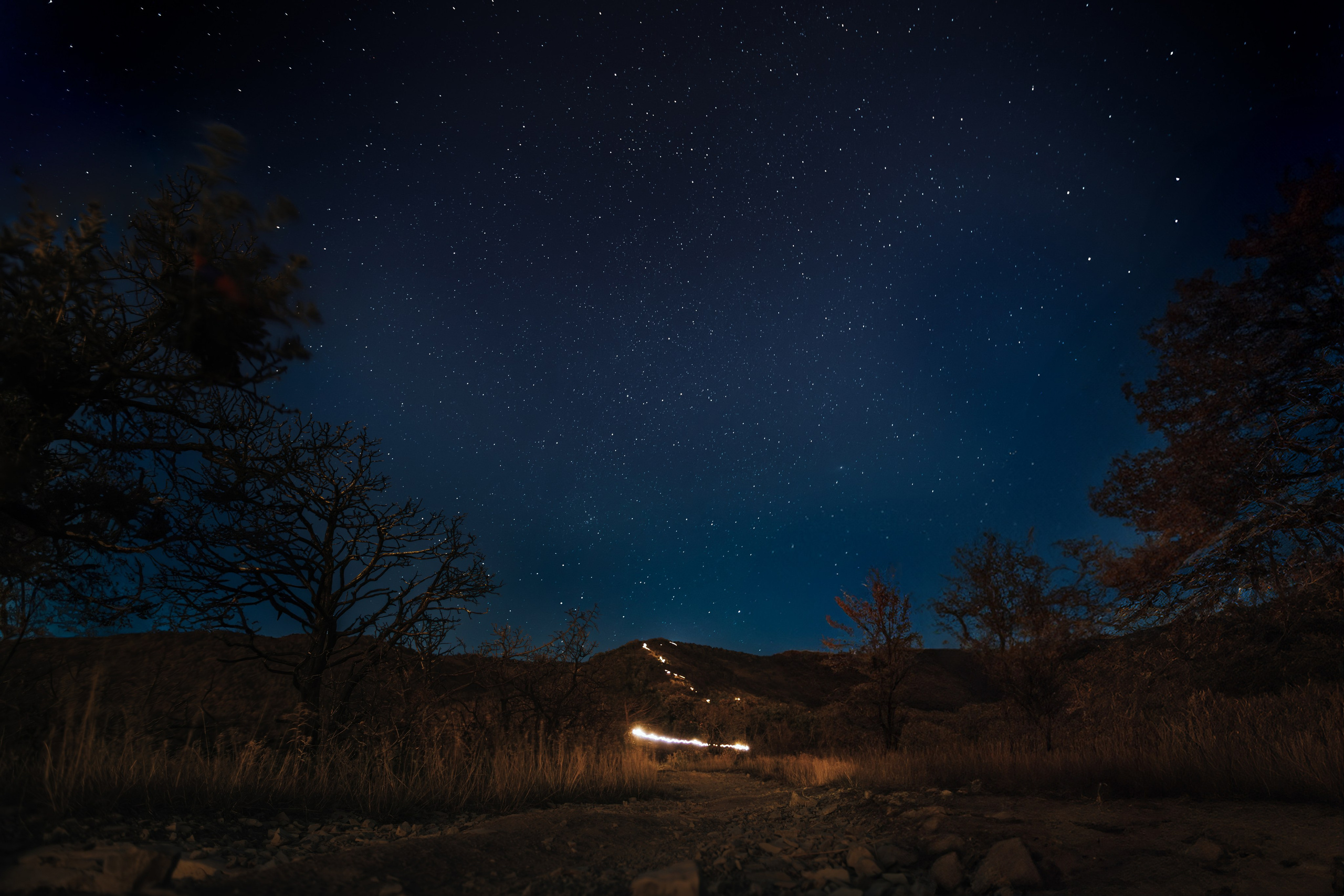 Природа. Спортивный фотограф Тремпольцева Анна