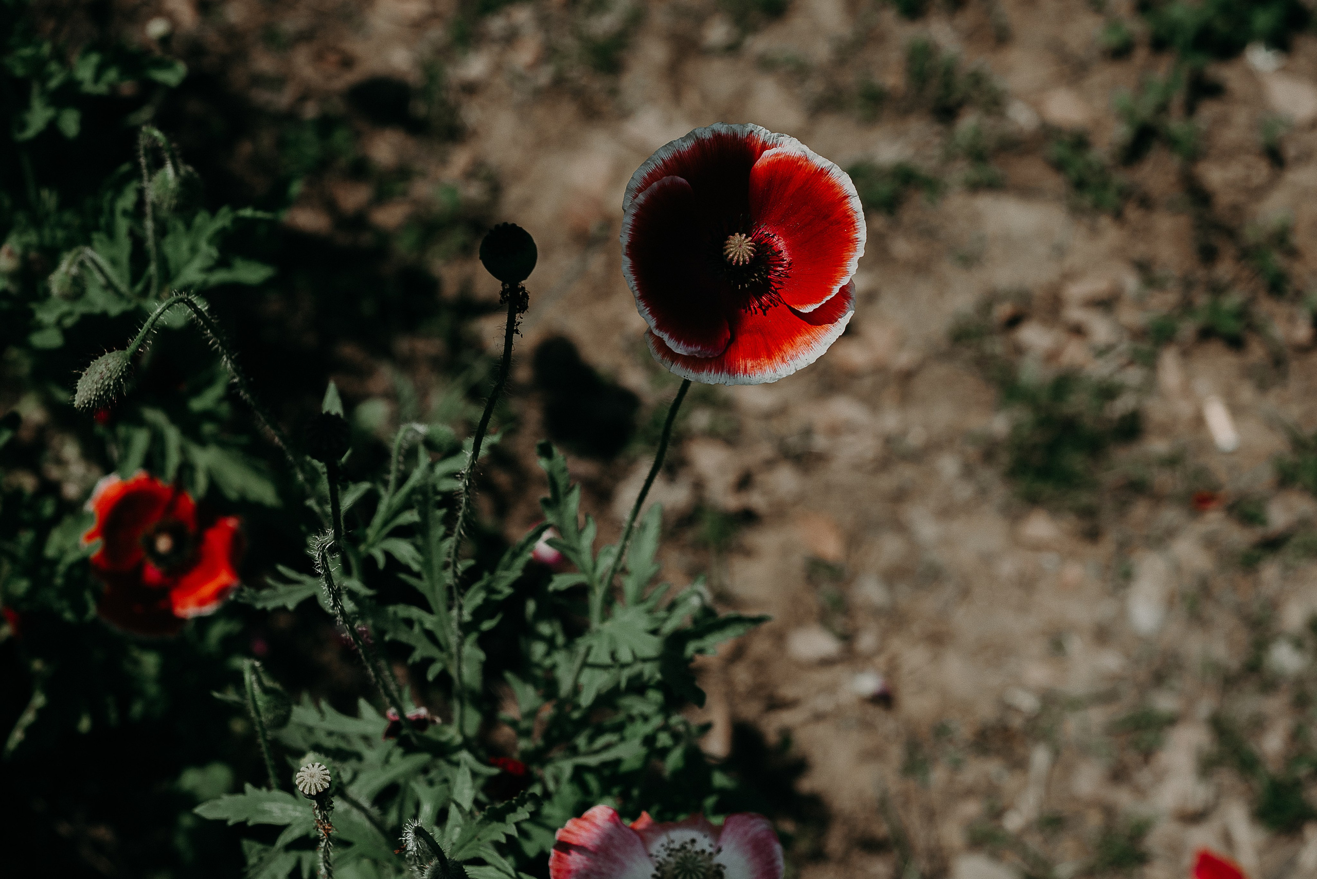 Рекламный фотограф из Гуанчжоу: путешествие по Уханю через объектив камеры. Коммерческий и предметный фотограф в Гуанчжоу Коваленко Александр