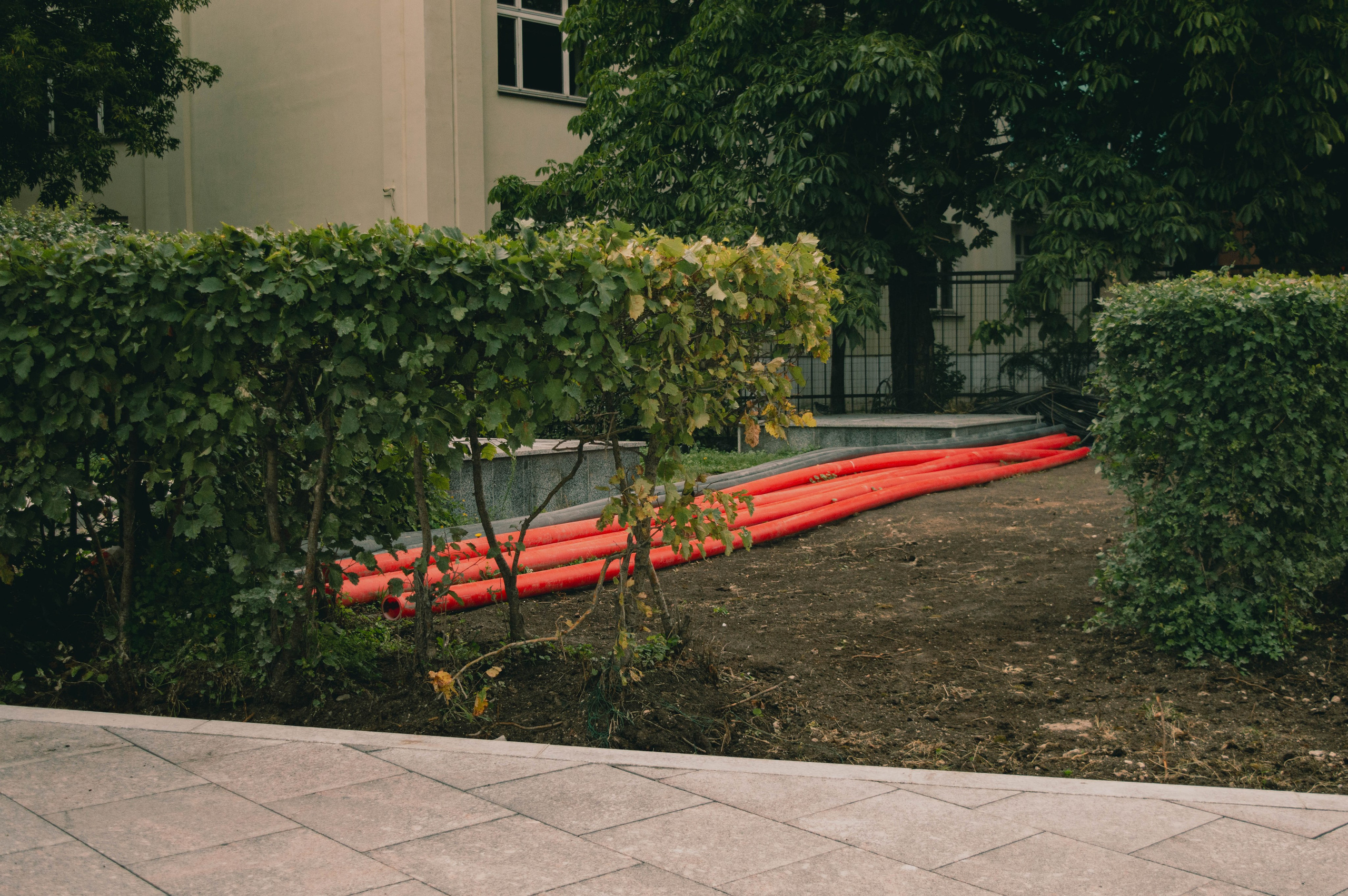 Плитка за плиткой. Фотограф Анастасия Лощакова в Москве