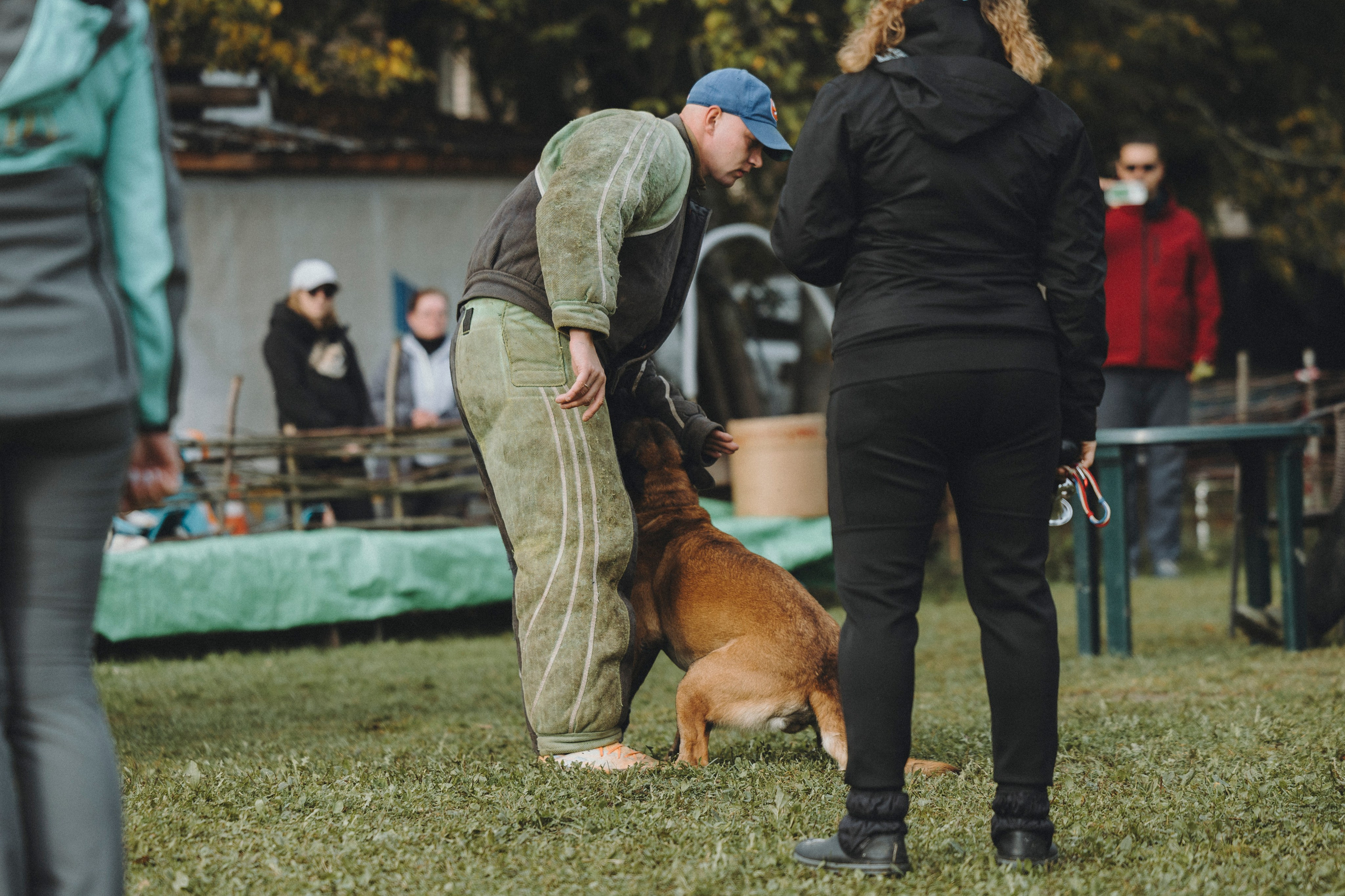 Испытания по мондьорингу г. Пушкин 29.09.2024. Фотограф-анималист Анна Маринич