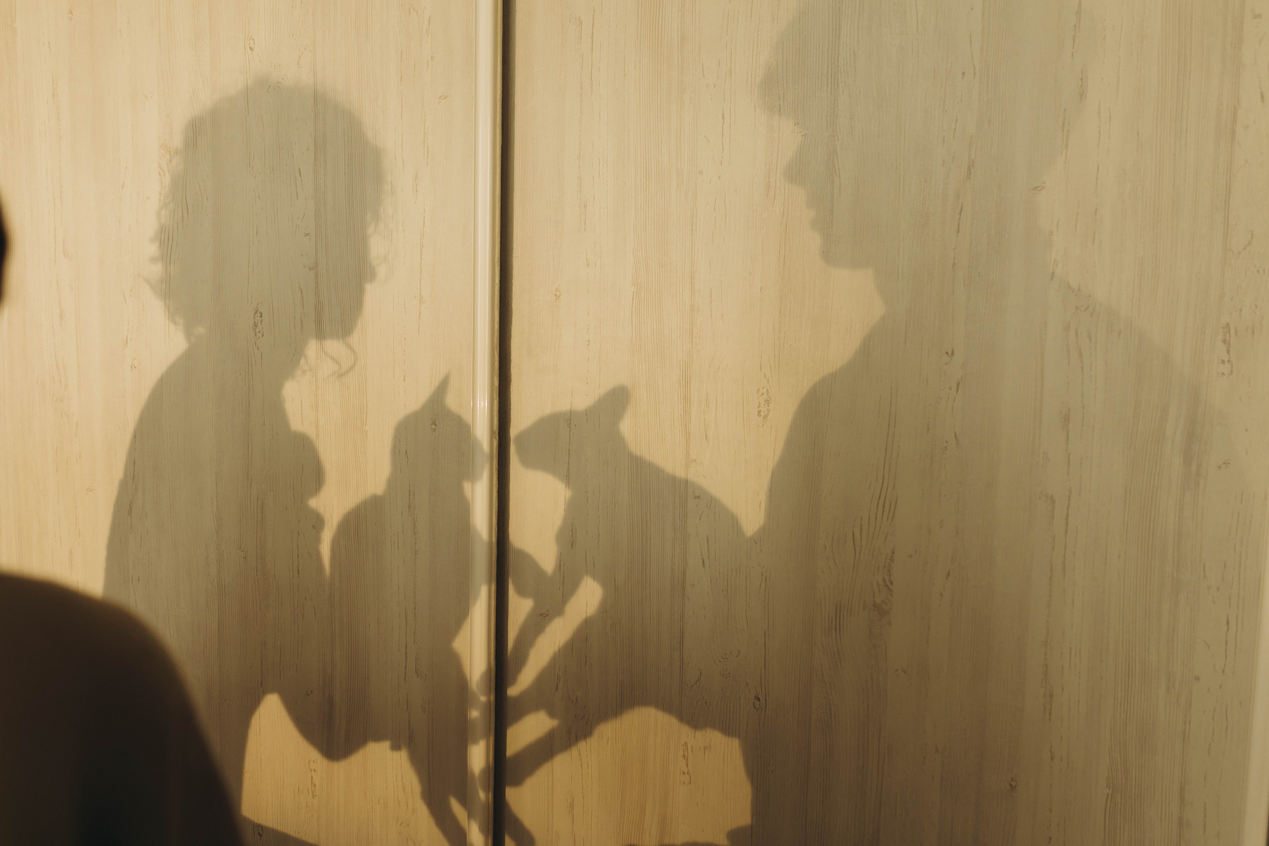 Аня, Костя и котики. Фотограф Саратов