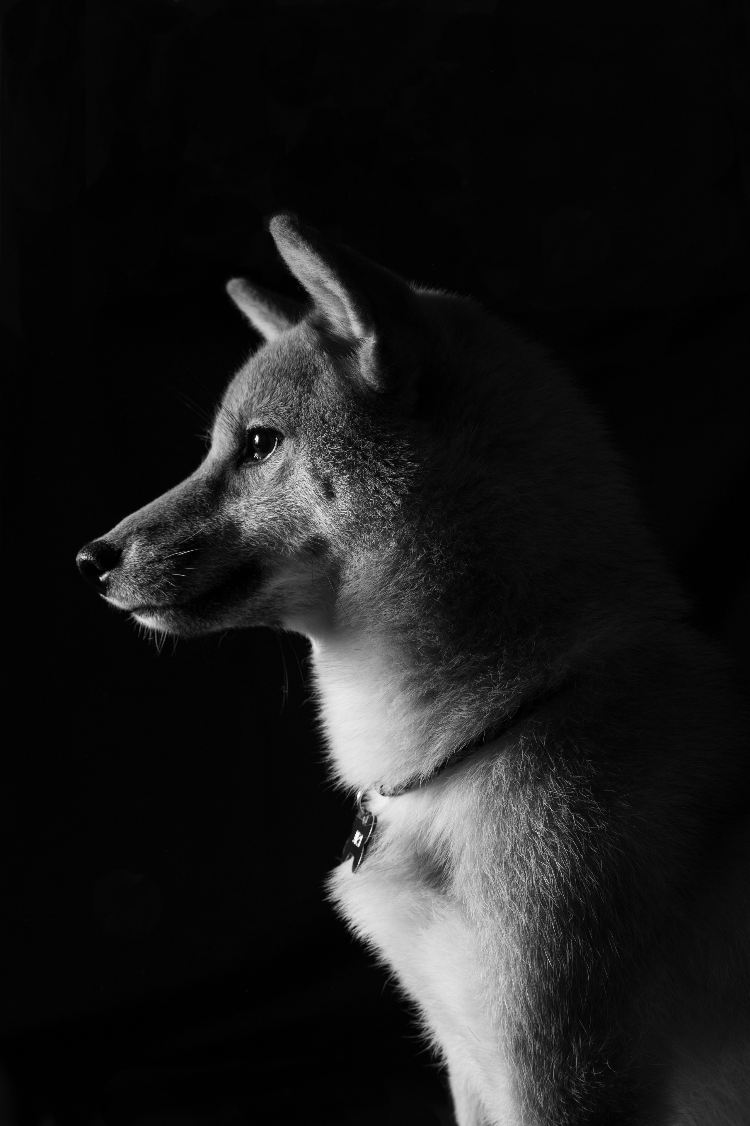 Portraits. Фотограф Макс Давыдов