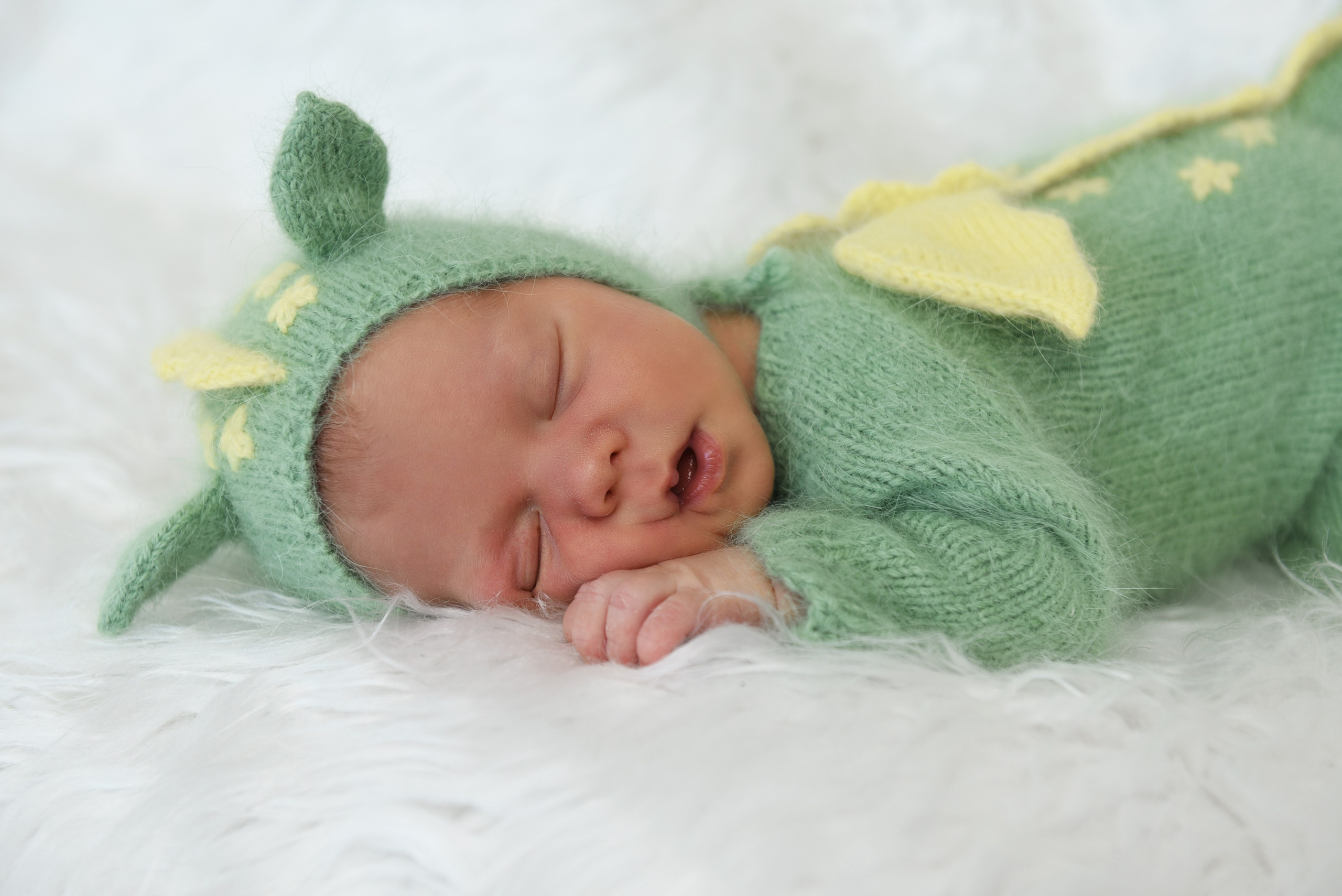 Артем-динозаврик. Семейный, детский и школьный фотограф в Димитровграде Наумова Екатерина