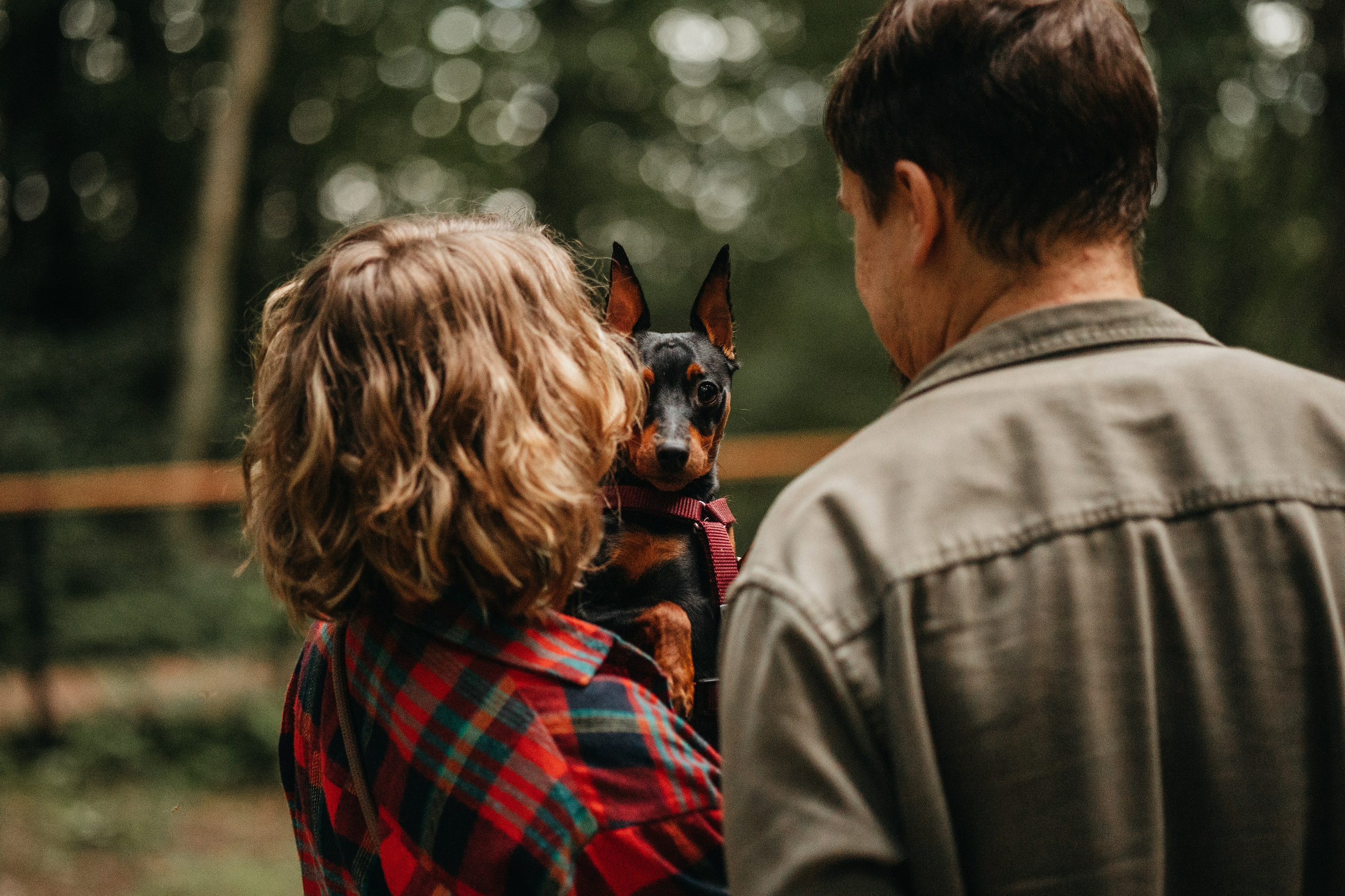 Сириус и его семья. Фотограф — Анималист | Санкт-Петербург