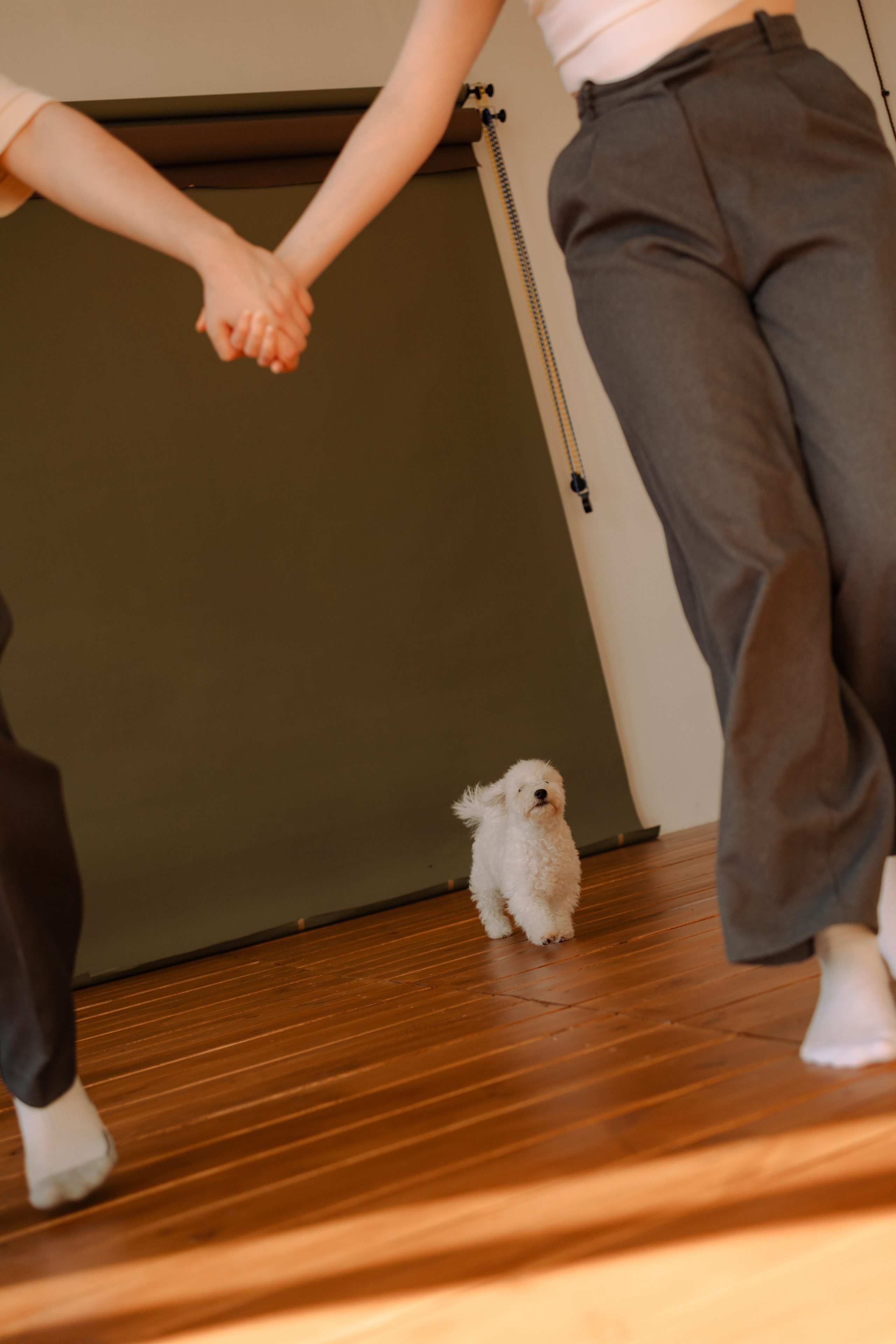 Луна и ее семья. Фотограф — Анималист | Санкт-Петербург