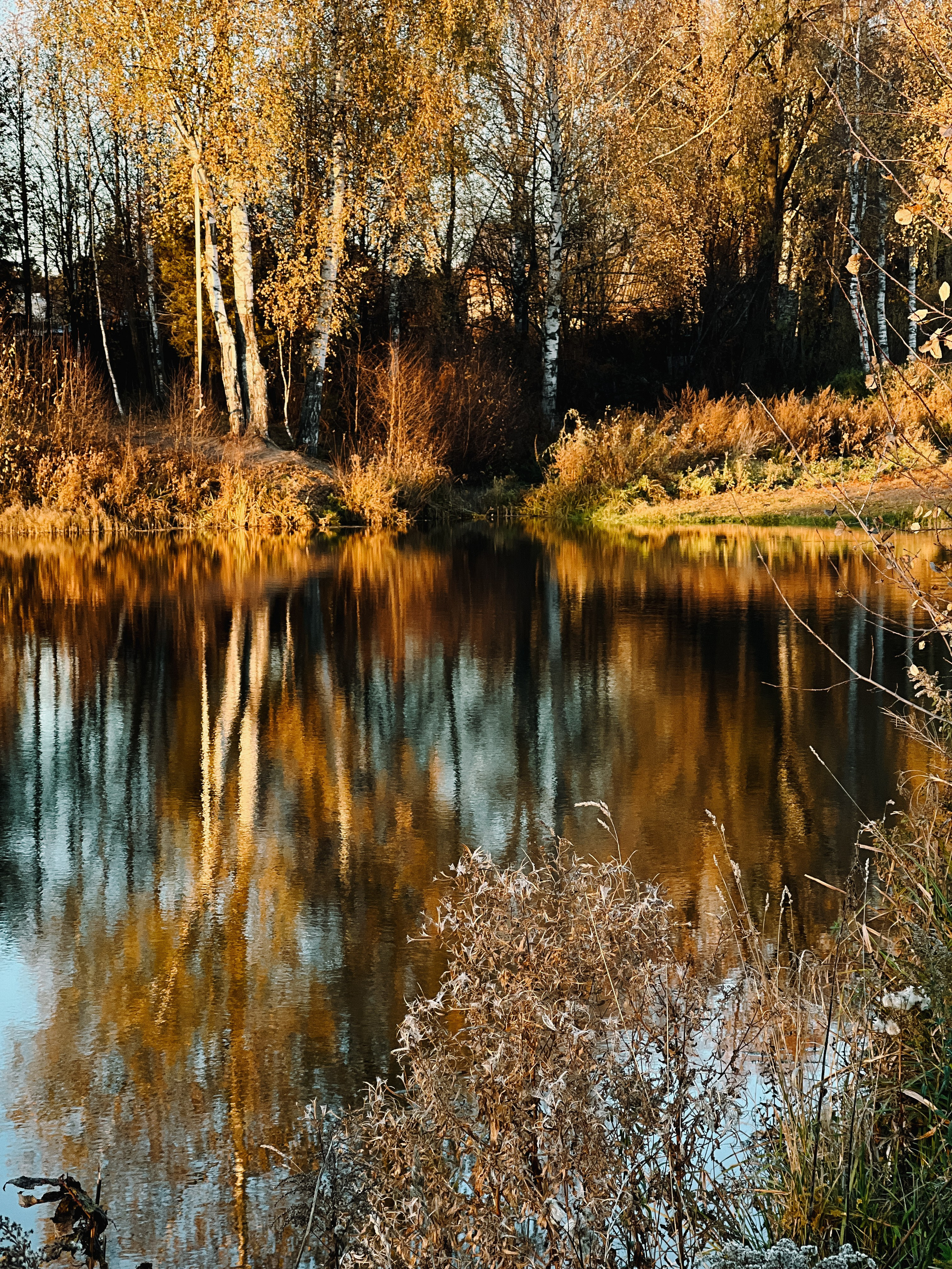 Пресеты. Алёна Стерхова — Предметный и портретный фотограф. Ижевск