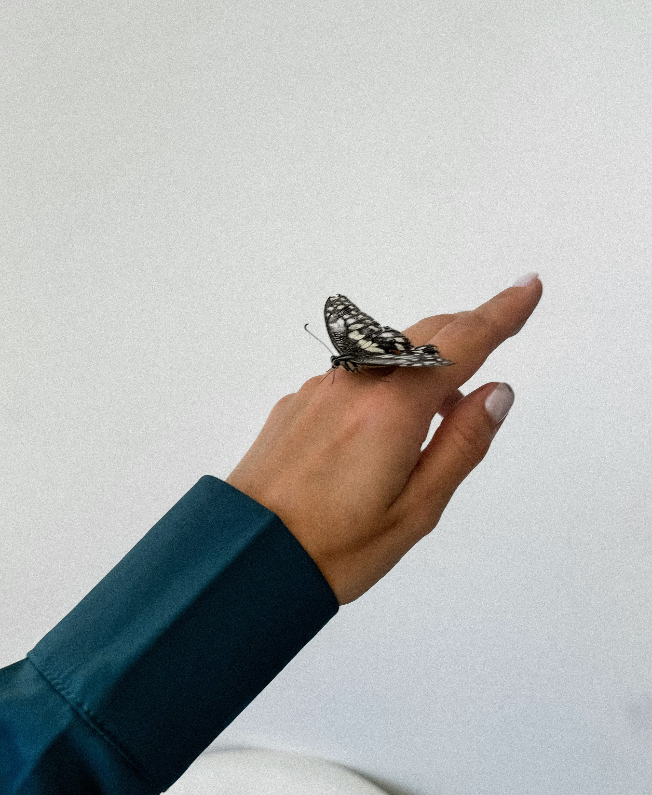 Эстетика. Екатерина Таирова. Контент-фотограф из Санкт-Петербурга