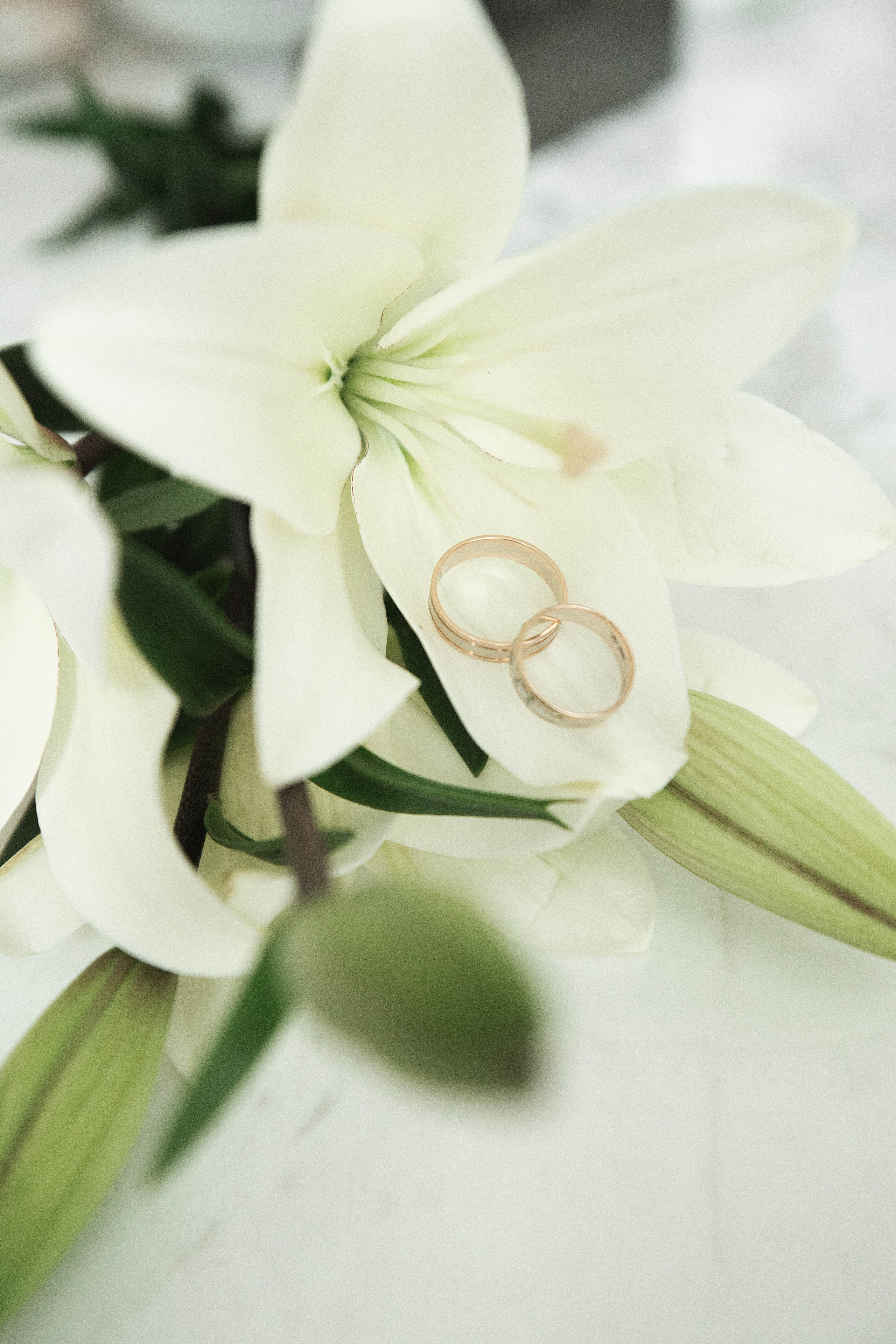 Катерина и Сергей. Свадебный фотограф Ростов-на-Дону Виолетта veslers.ph