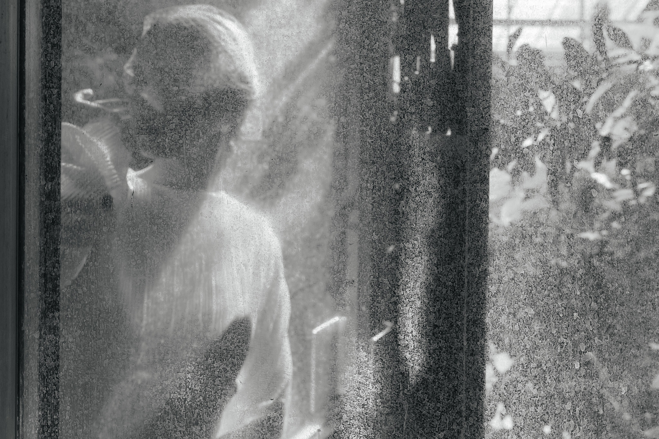 Полина. Фотограф в Томске Ирина Павлуцкая