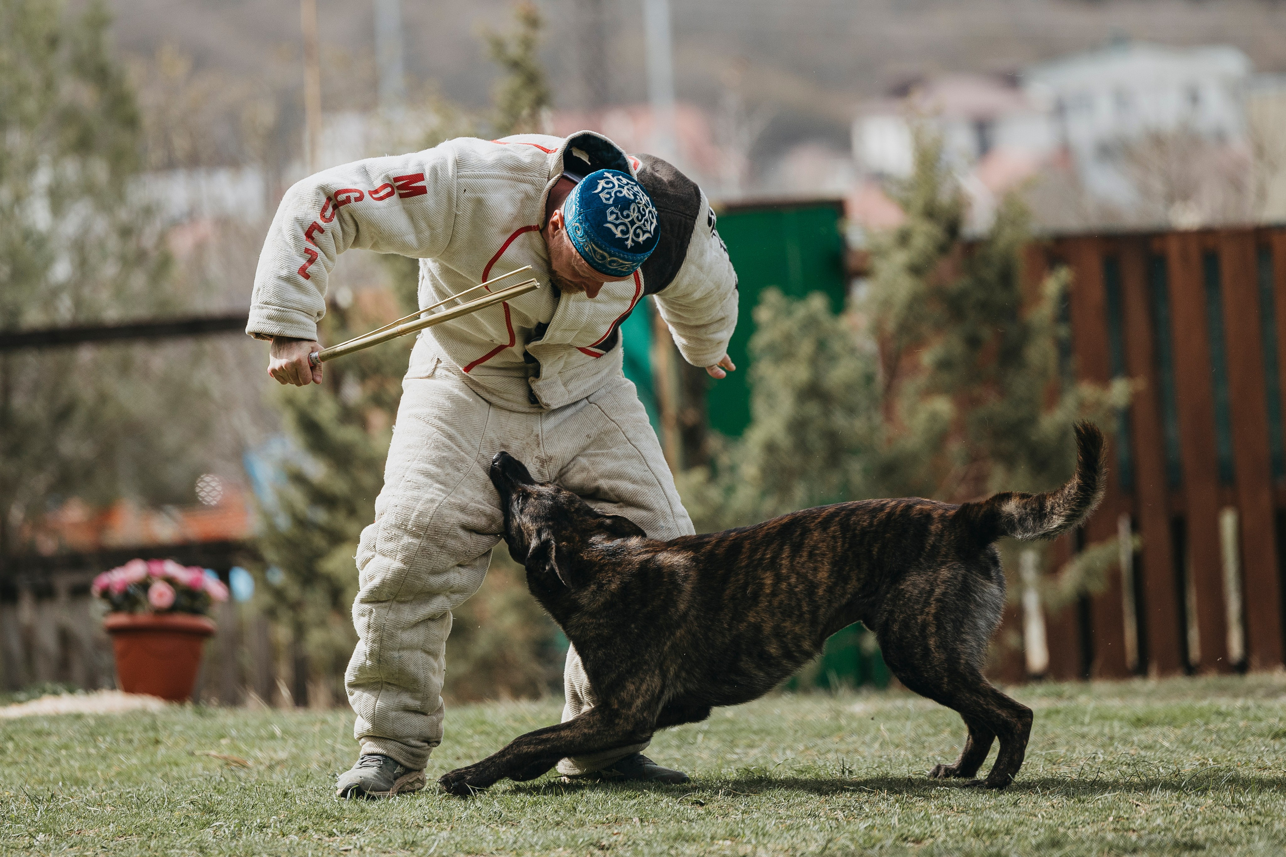 Геленджик Мондьоринг. Фотограф-анималист Анна Маринич