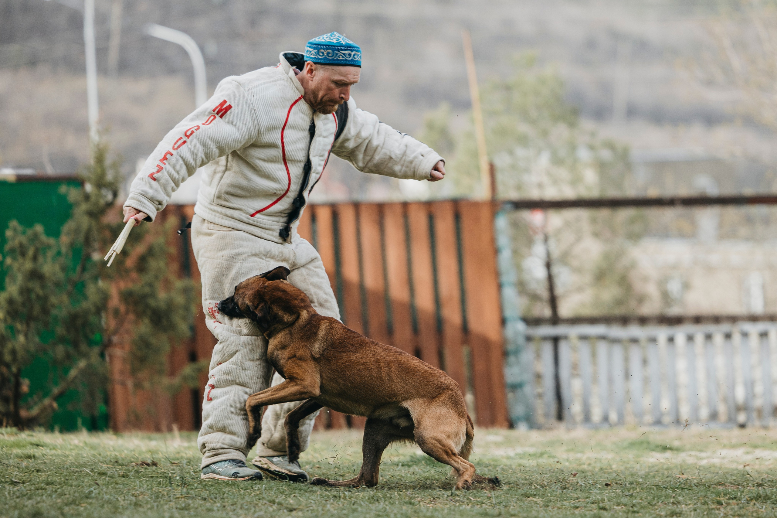 Геленджик Мондьоринг. Фотограф-анималист Анна Маринич