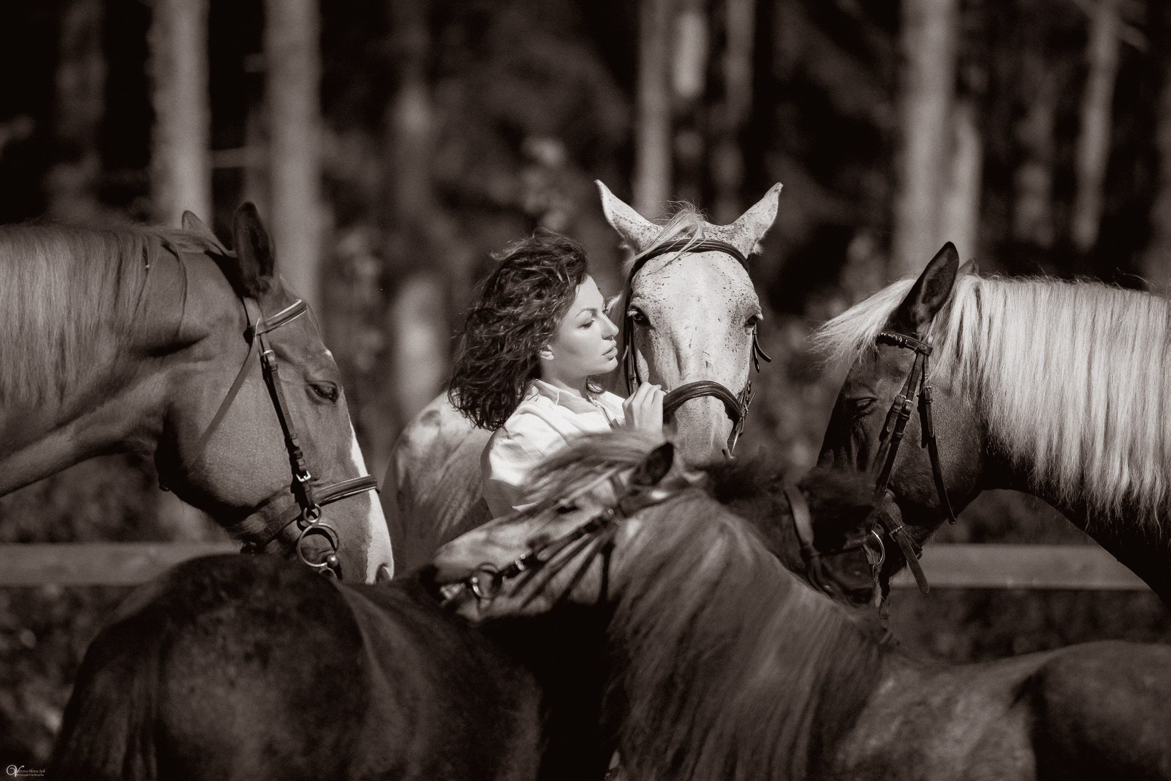 Фотосессия с лошадьми в кантри стиле. Фотограф женский и мужской портрет Санкт-Петербург