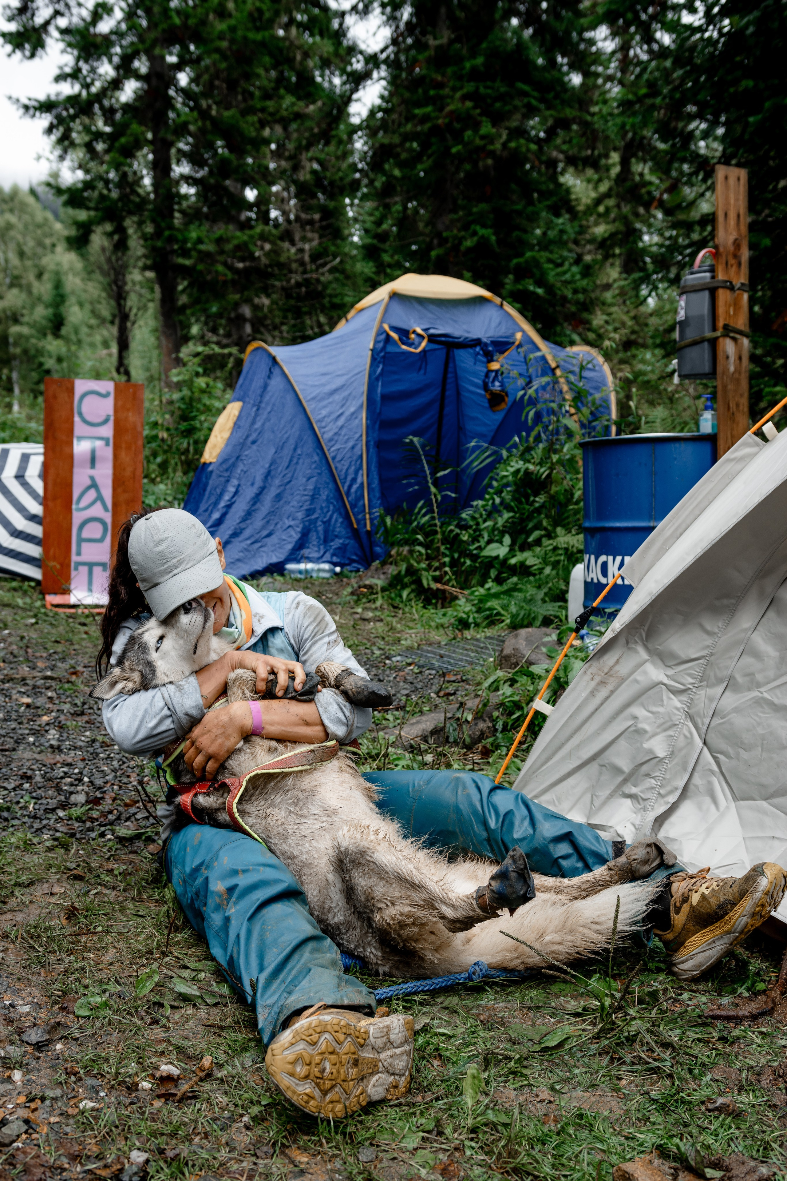Дог-треккинг