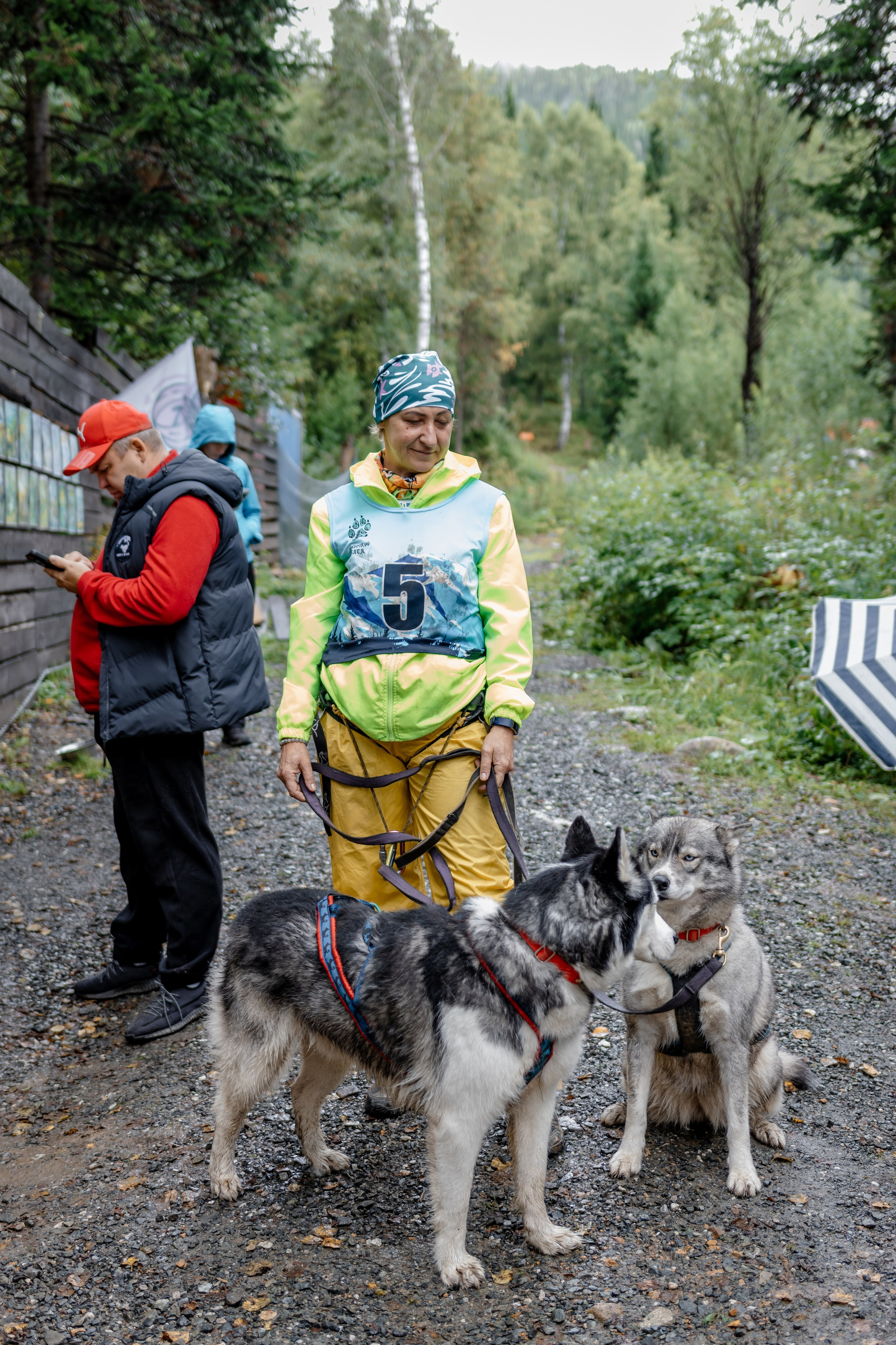 Дог-треккинг