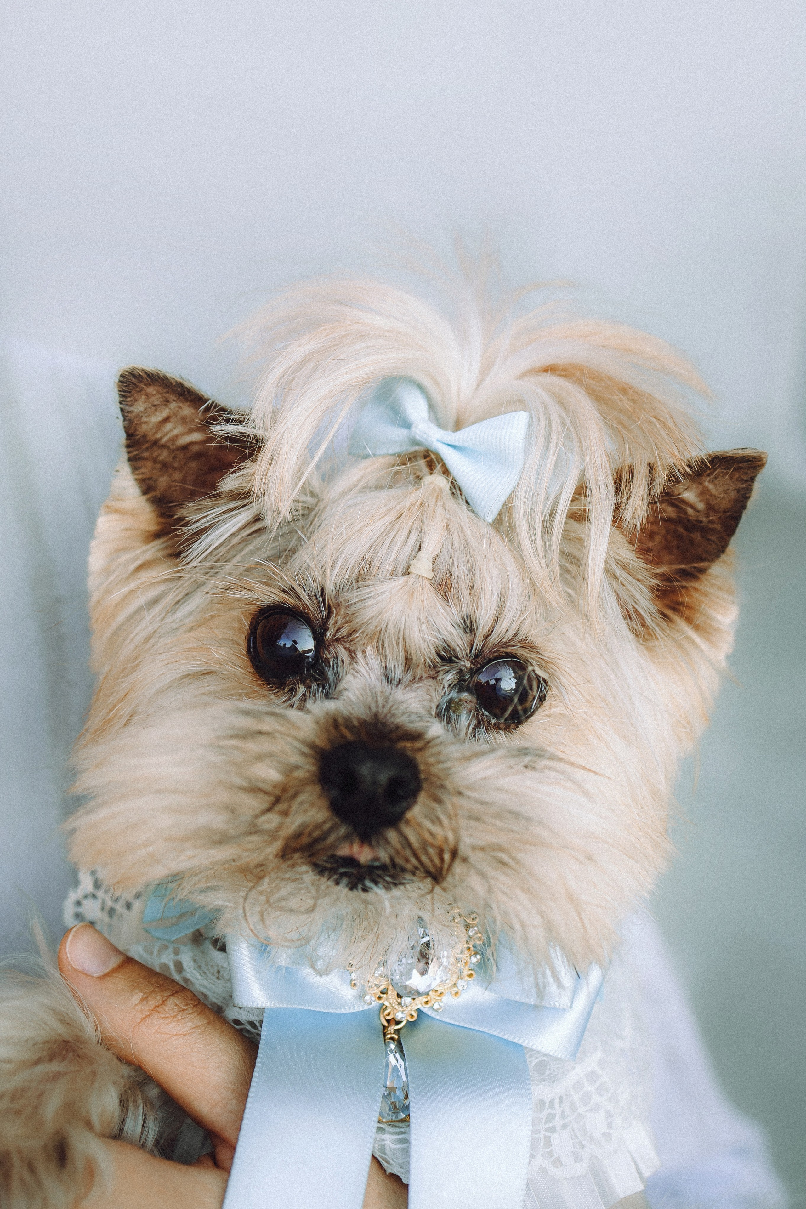 Дженни, Оливия и их семья