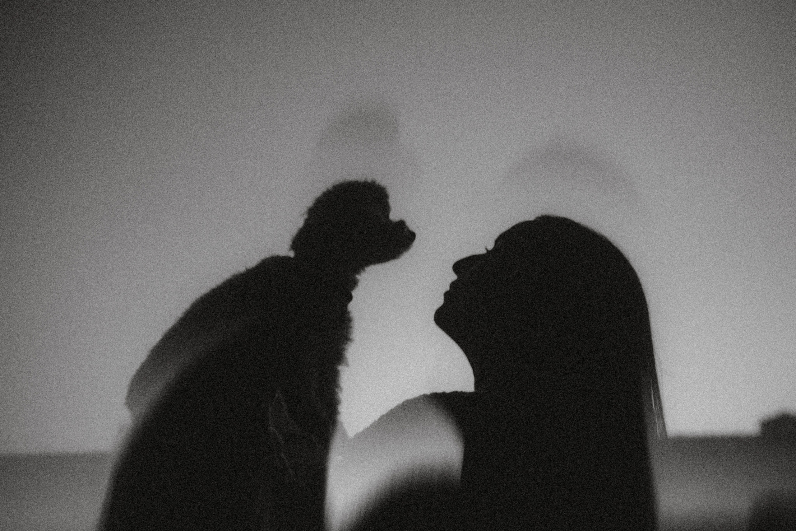 Настя и Симба