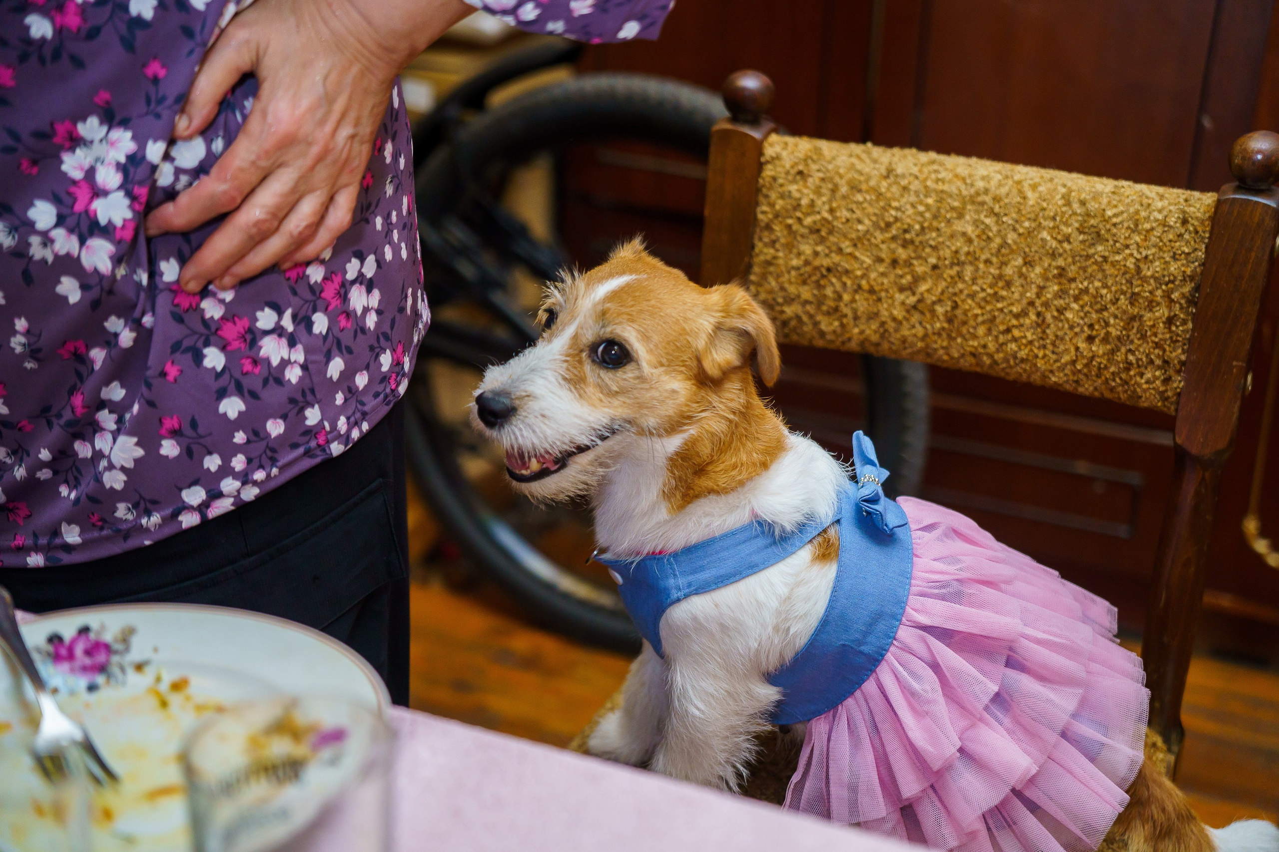 ДР многообожаемого А.В.!. Фотограф Челябинск · Ольга Серебрякова