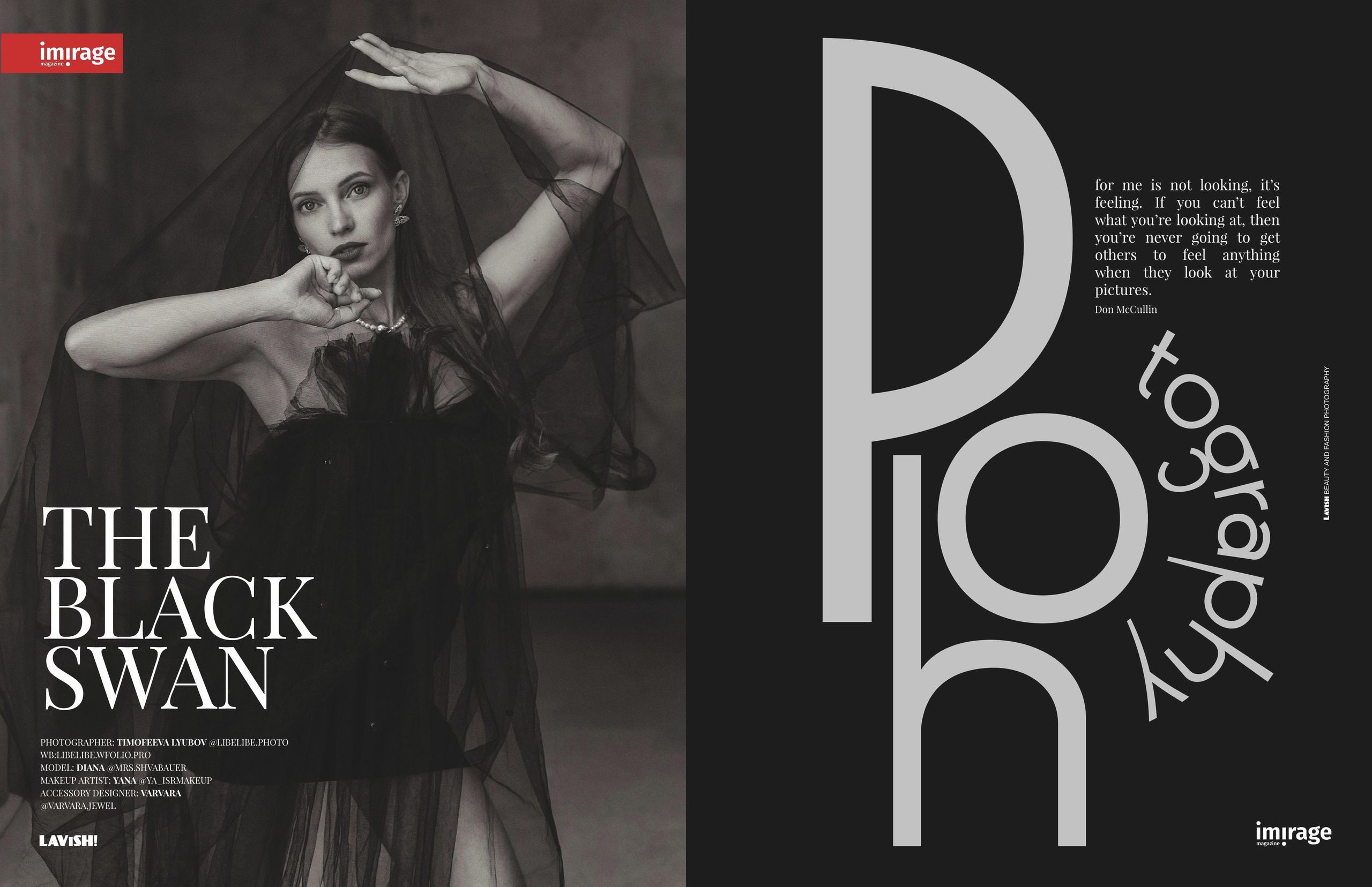 Черный лебедь. Фотограф Тимофеева Любовь