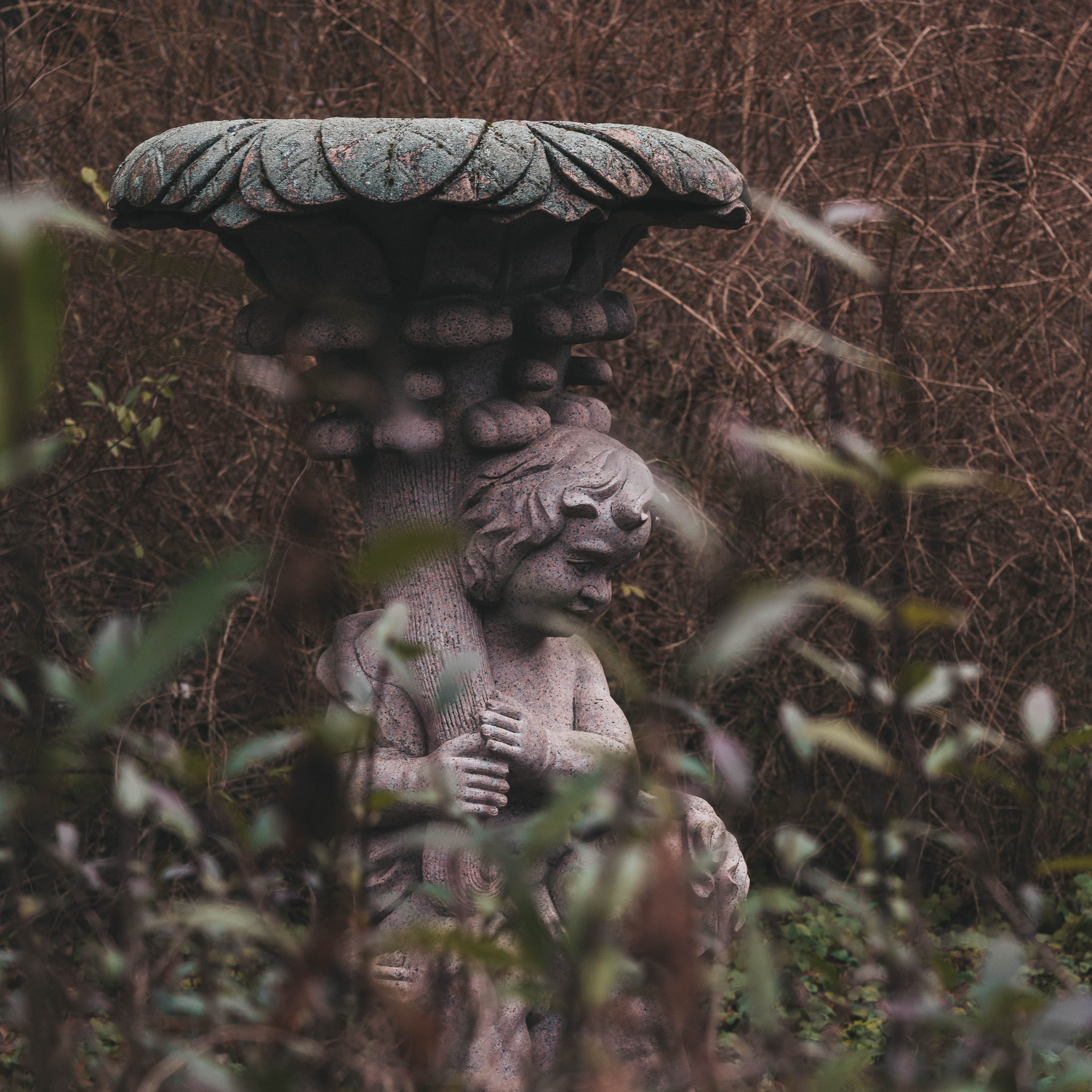 Калининград, декабрь 2025. Фотограф в Ярославле Ольга Пыненкова