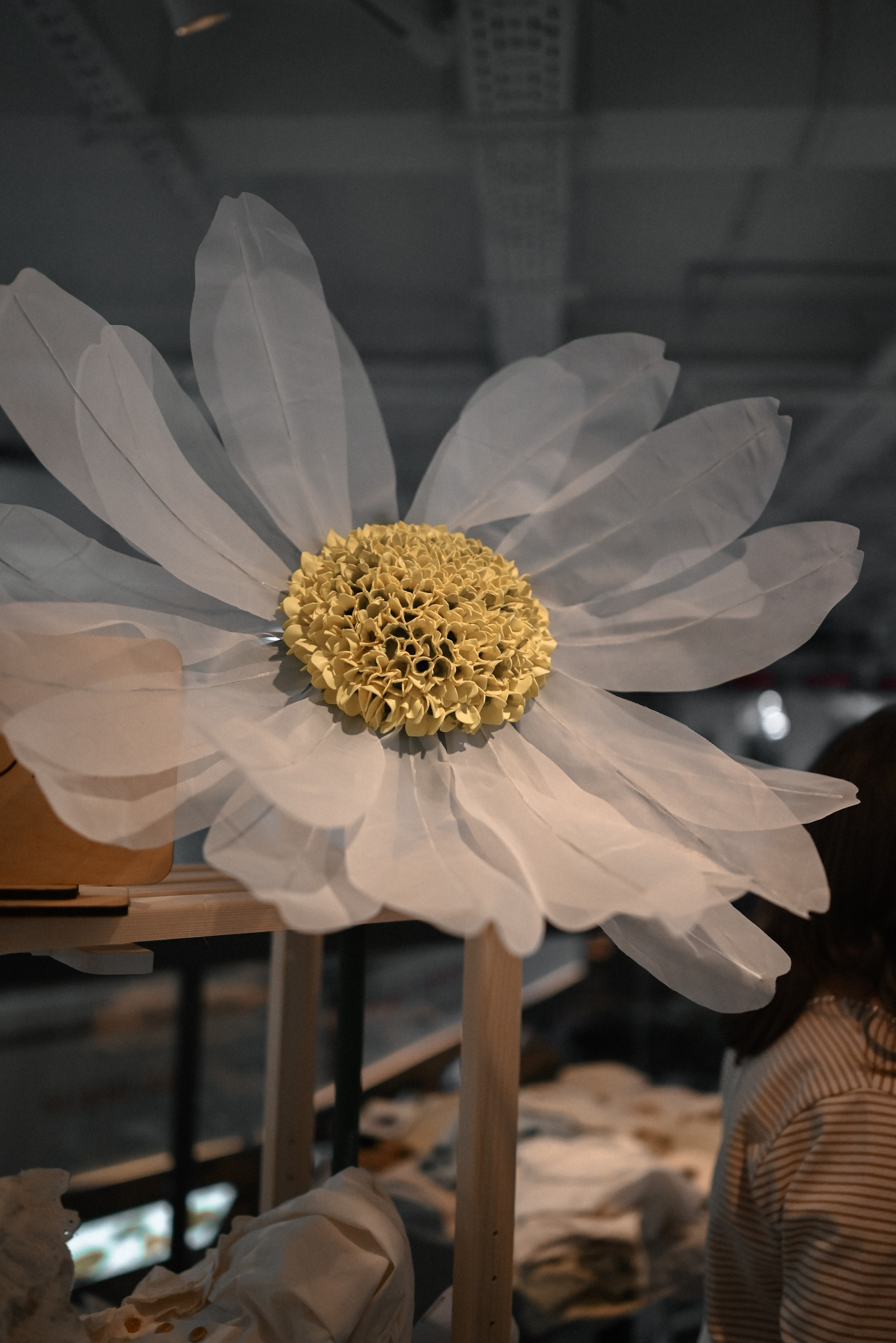 Moms market 2024. Семейный и детский фотограф в Москве Князева Диана