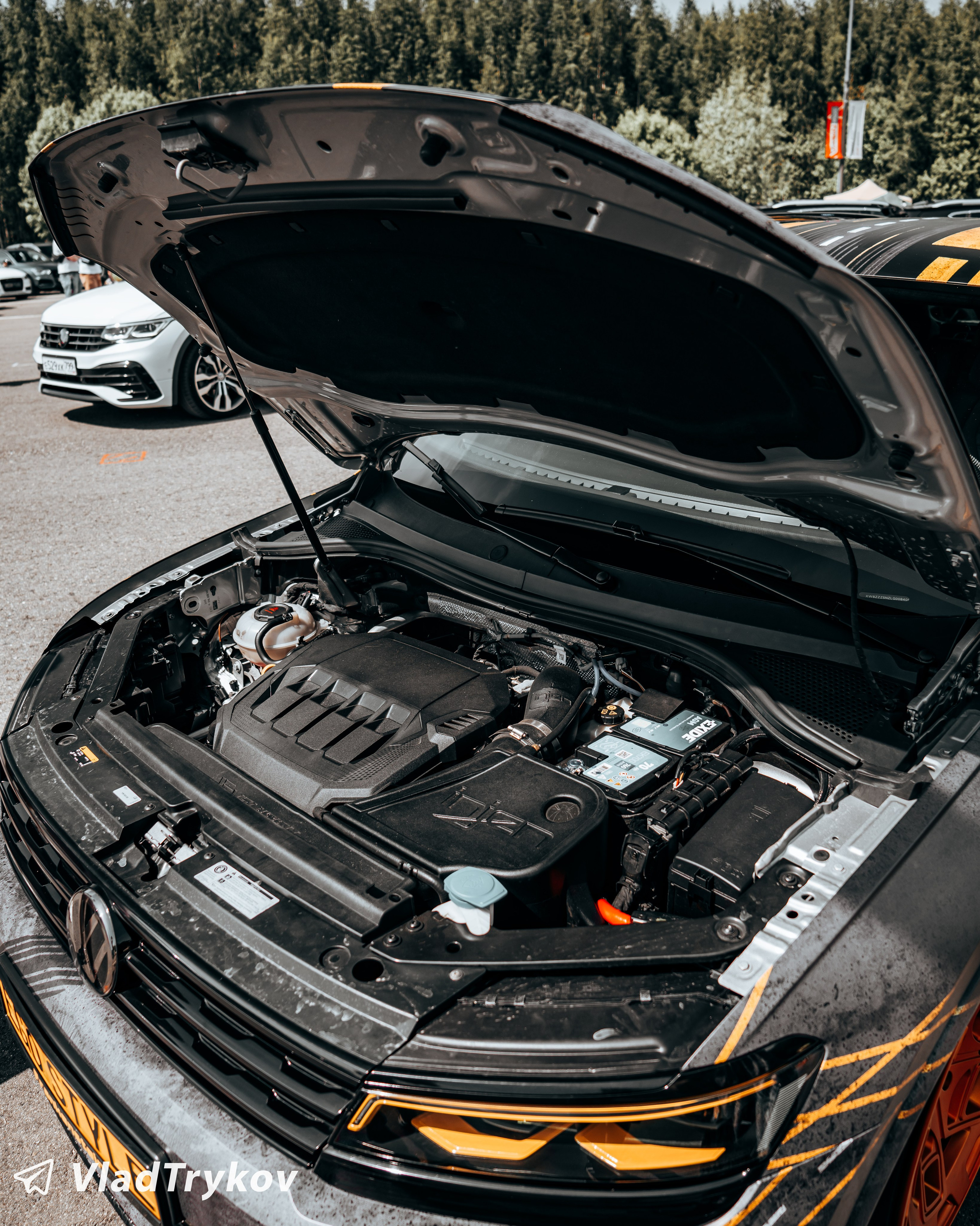 Vagburg. Vlad Trykov