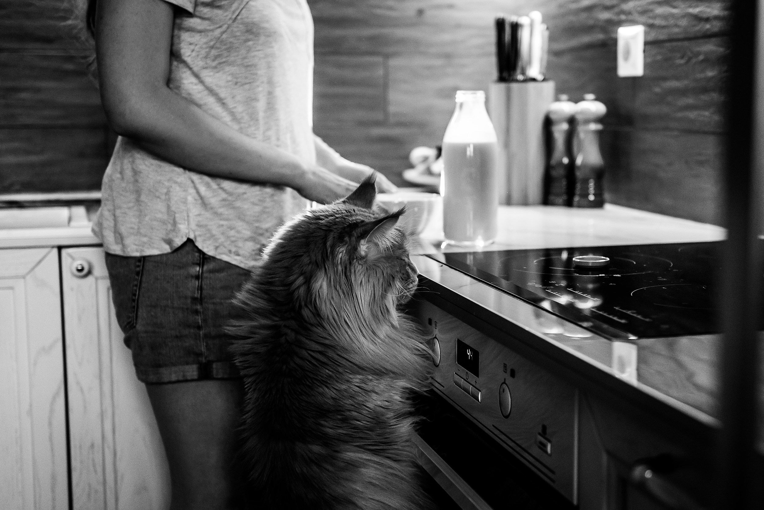 Алена, Виктор, Оливка и Ластик. Семейный Фотограф в Москве Ирина Хохлова