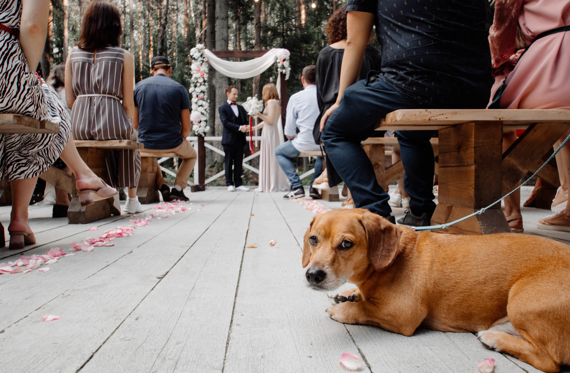 выездная регистрация