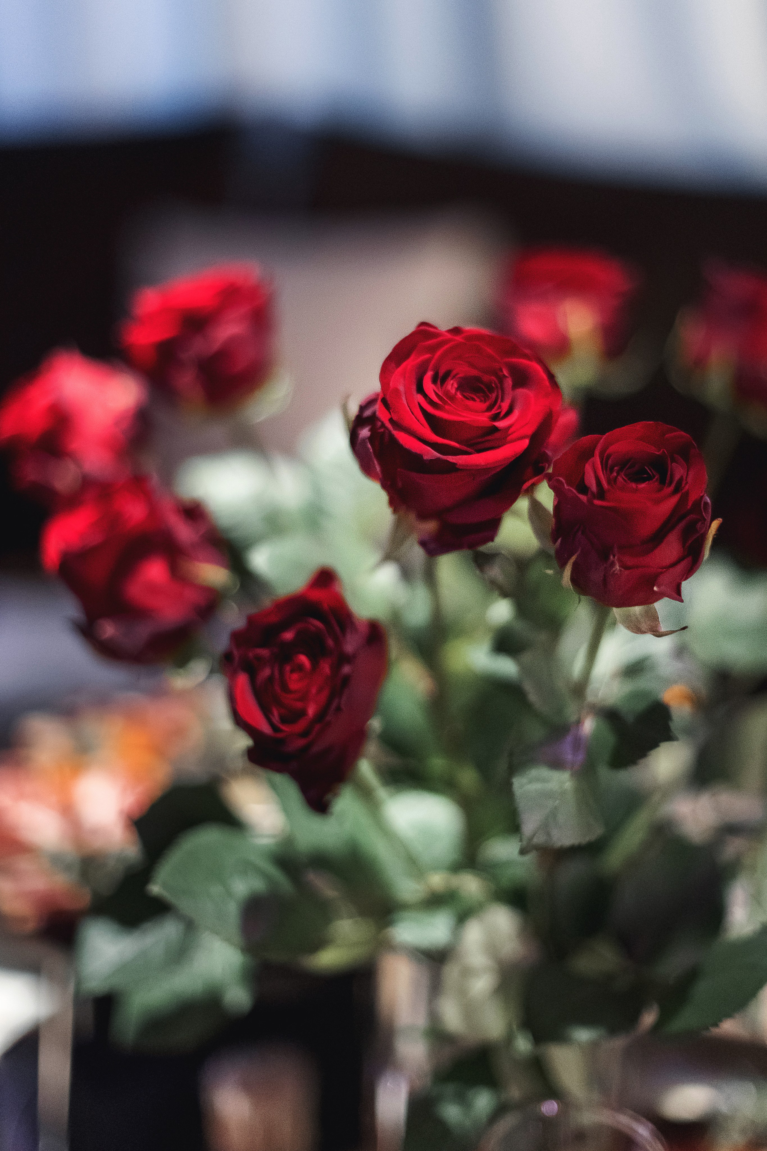 День рождения Олеси. Свадебный фотограф в Ростове-на-Дону Олег Майер