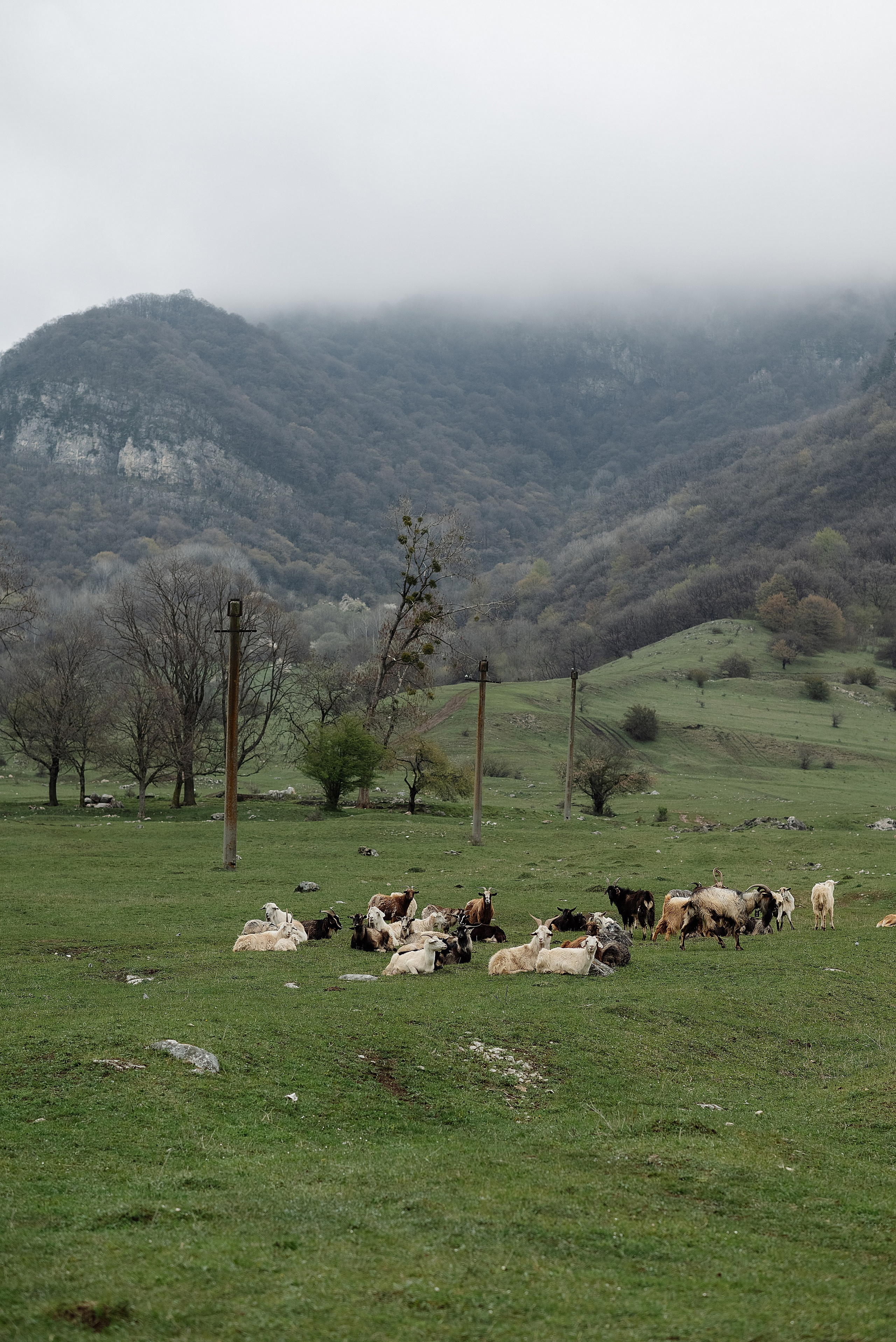 История Николая и Ирины. Владикавказ. Ингушетия. Свадебный и семейный фотограф в Ростове-на-Дону Алина Астахова