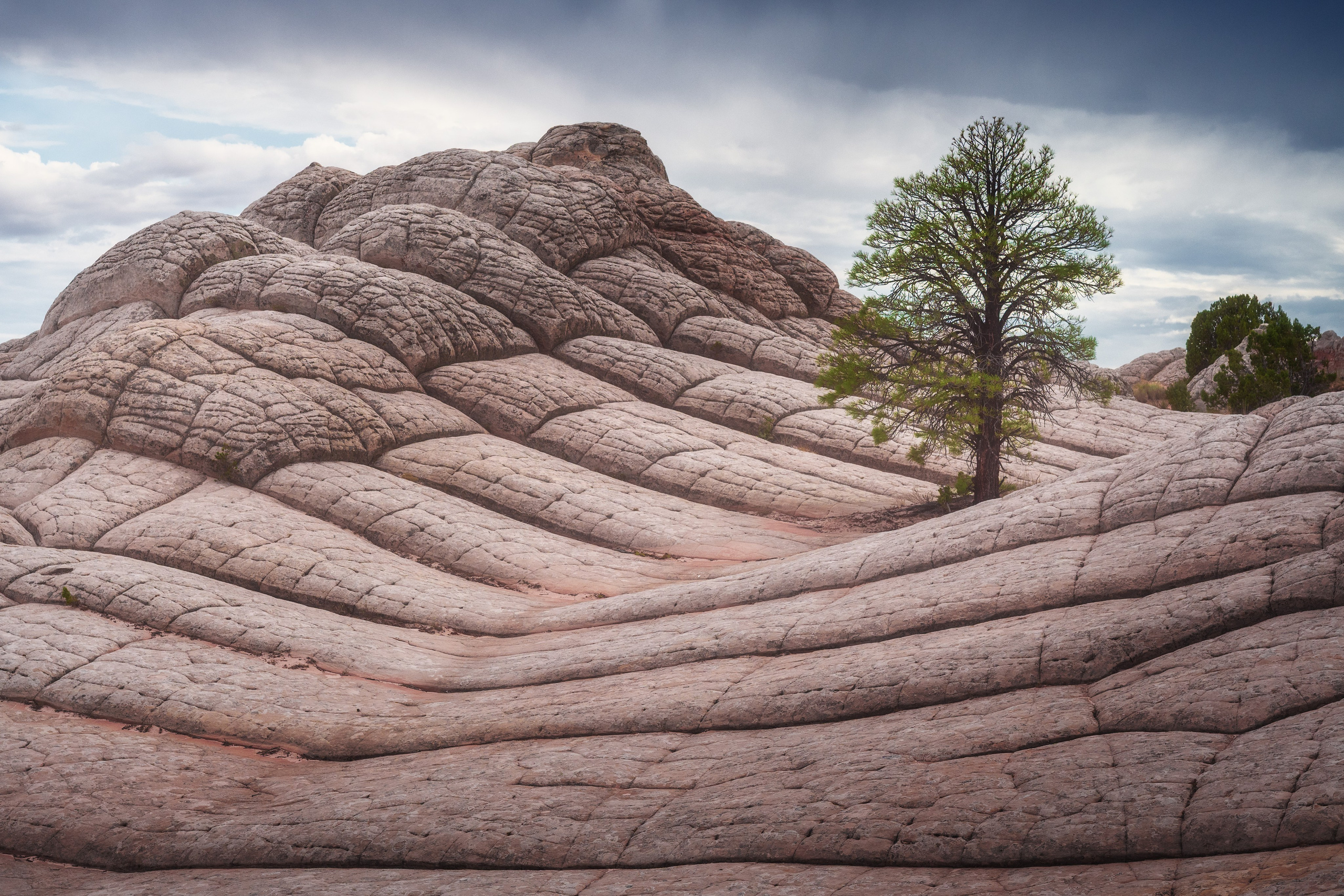 Arizona. Сергей Садов о путешествиях, пейзажах и архитектуре