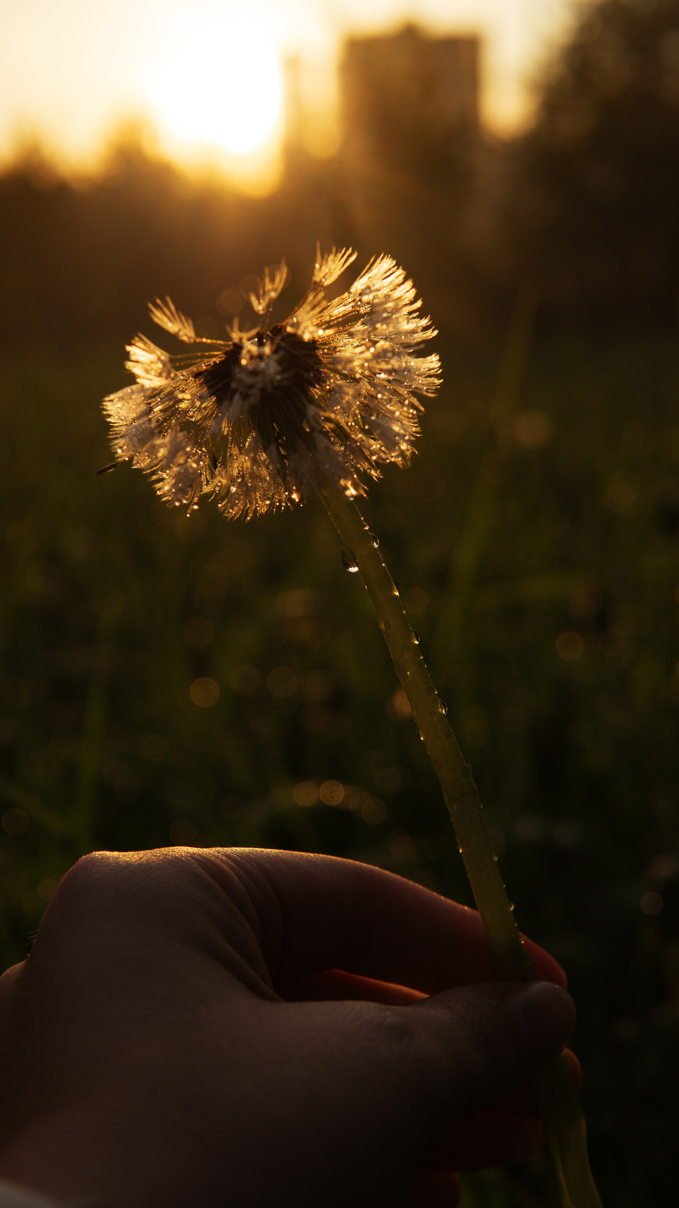 После дождя. Фотограф в Москве Юлия Першина