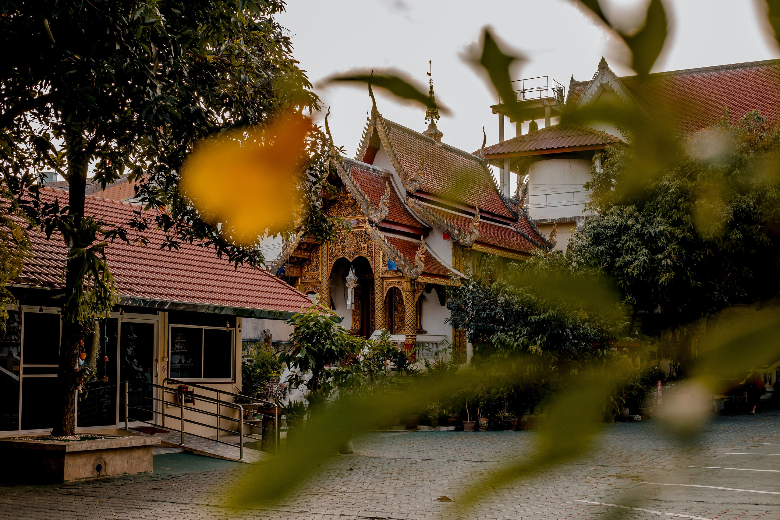 Thailand, Chiang Mai. Art Photographer