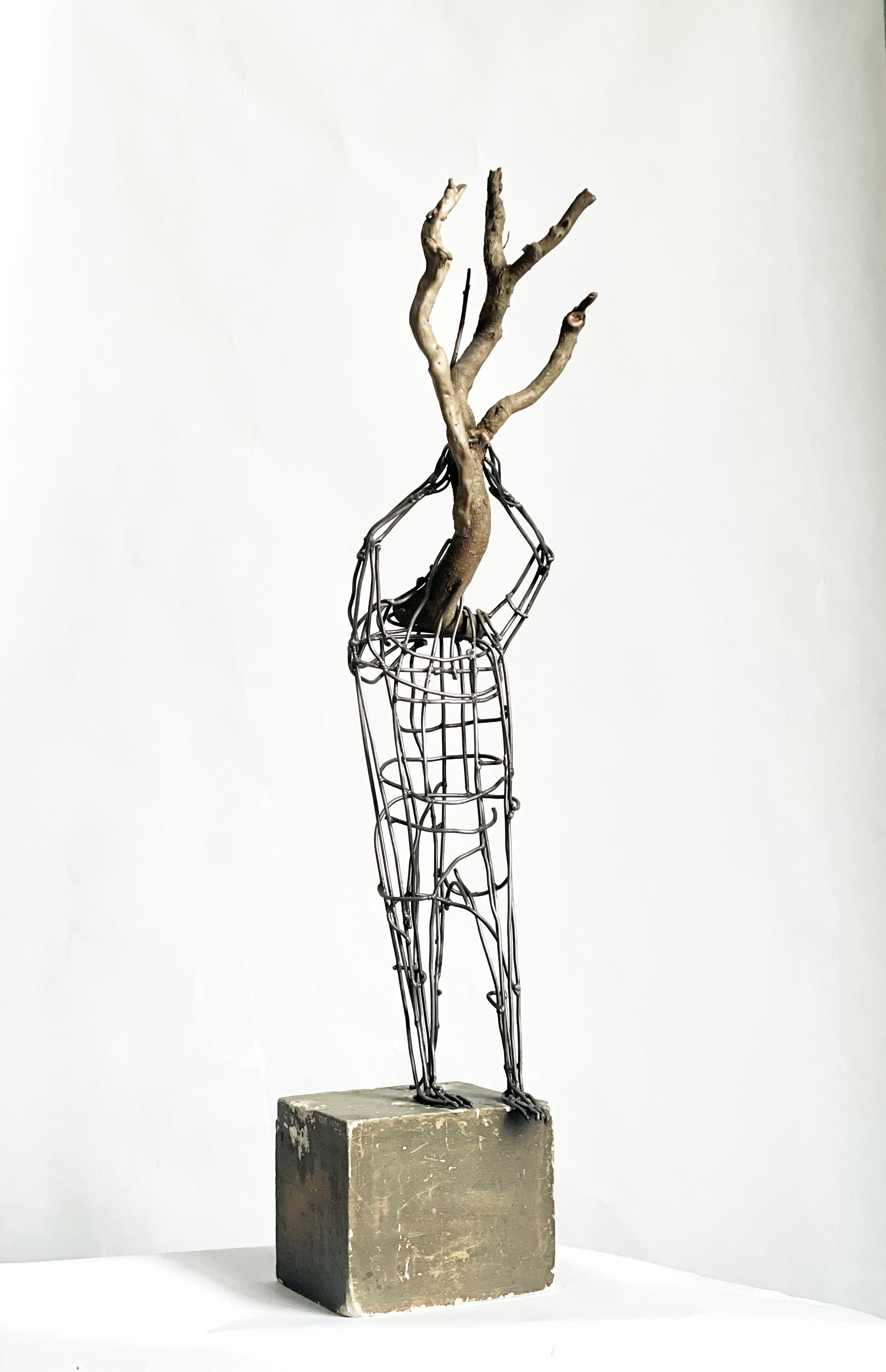 Серия «пойманные лесом» / series «Caught by the Forest». Художник — скульптор Антонина Фатхуллина