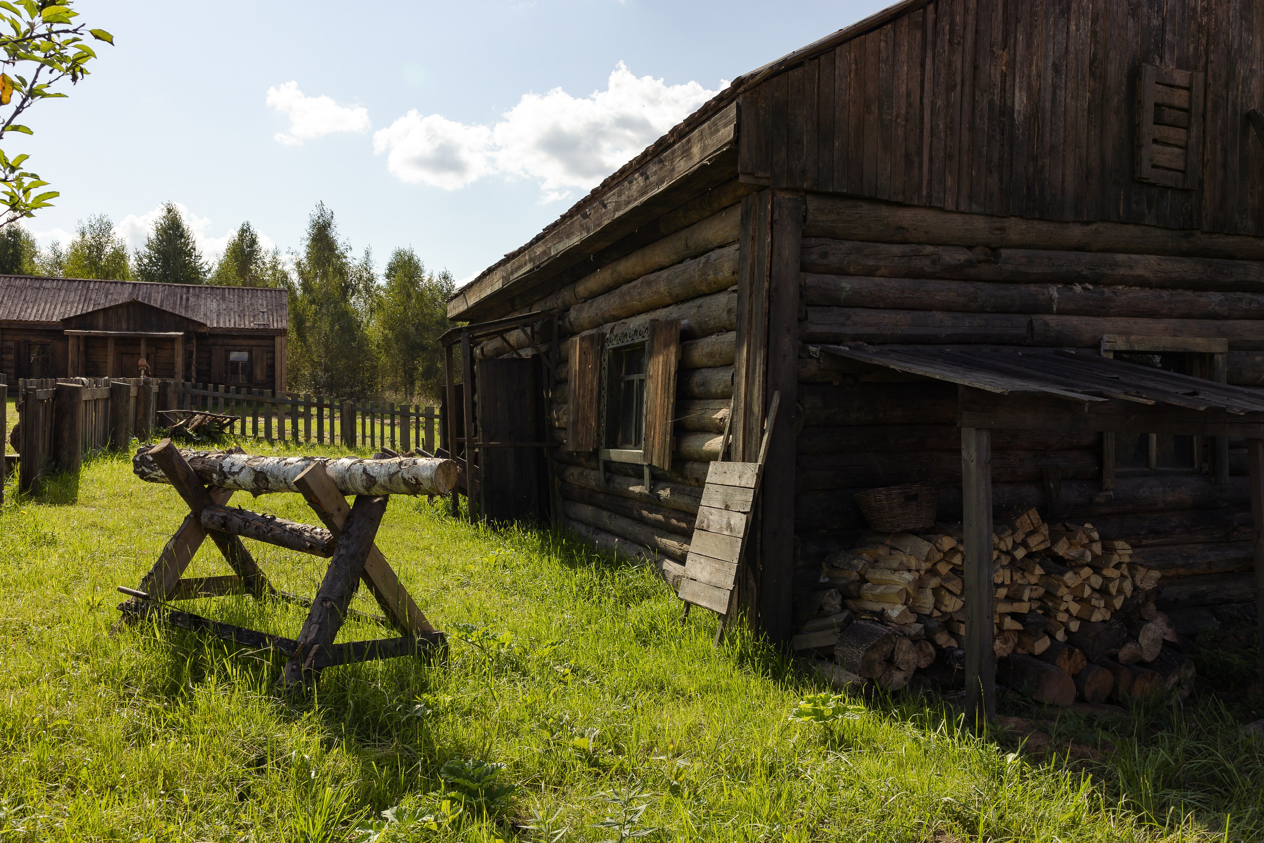 Кинопарк «Москино». Лисенкова Алиса — Фотограф, видеомейкер. Москва