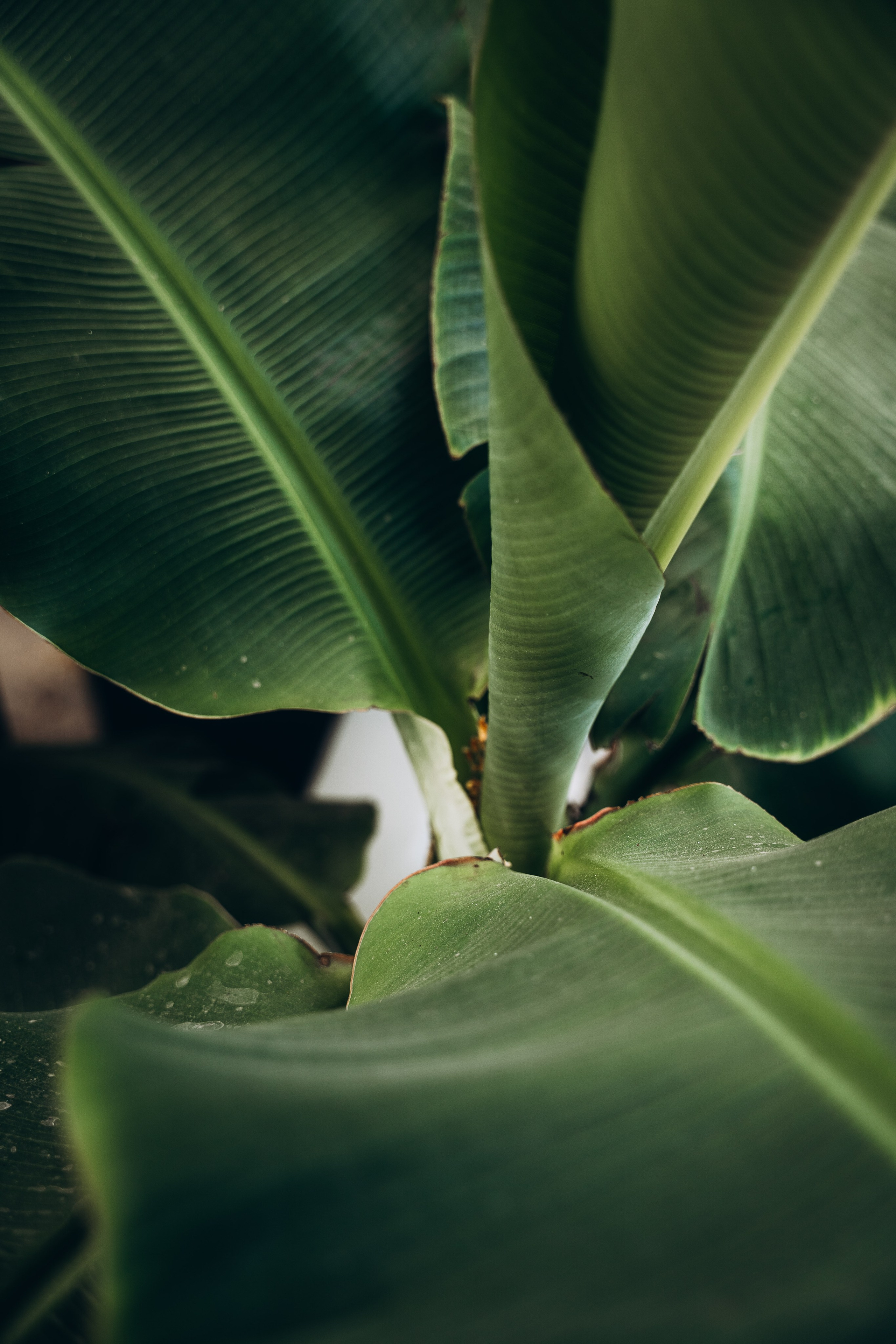 Остров Кос 🇬🇷. Anita_photo