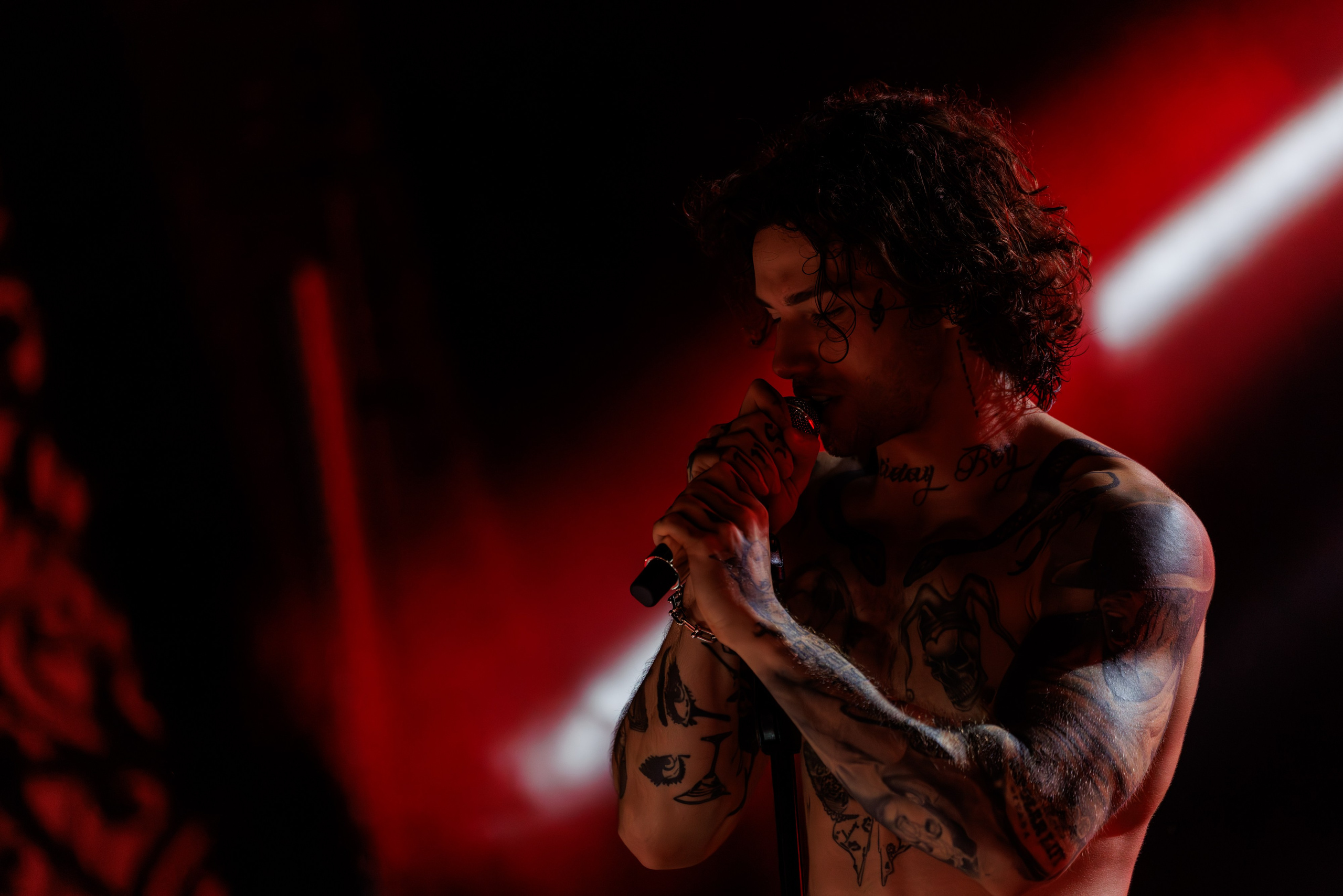 Concerts. Photographer Alexey Orlov