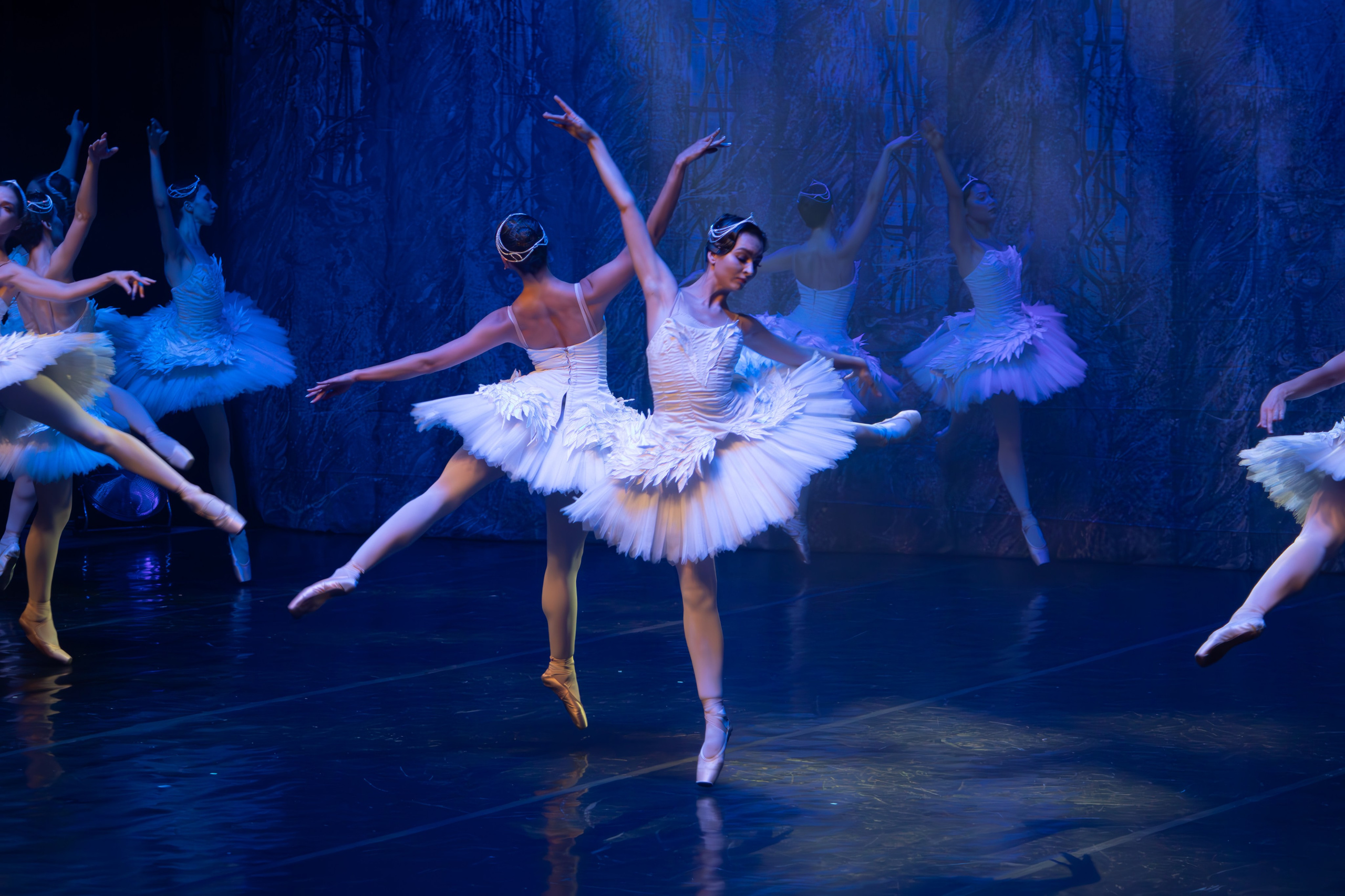 Лебединое озеро. Имперский русский балет. Фотограф в Нижнем Новгороде Екатерина Хисматулина