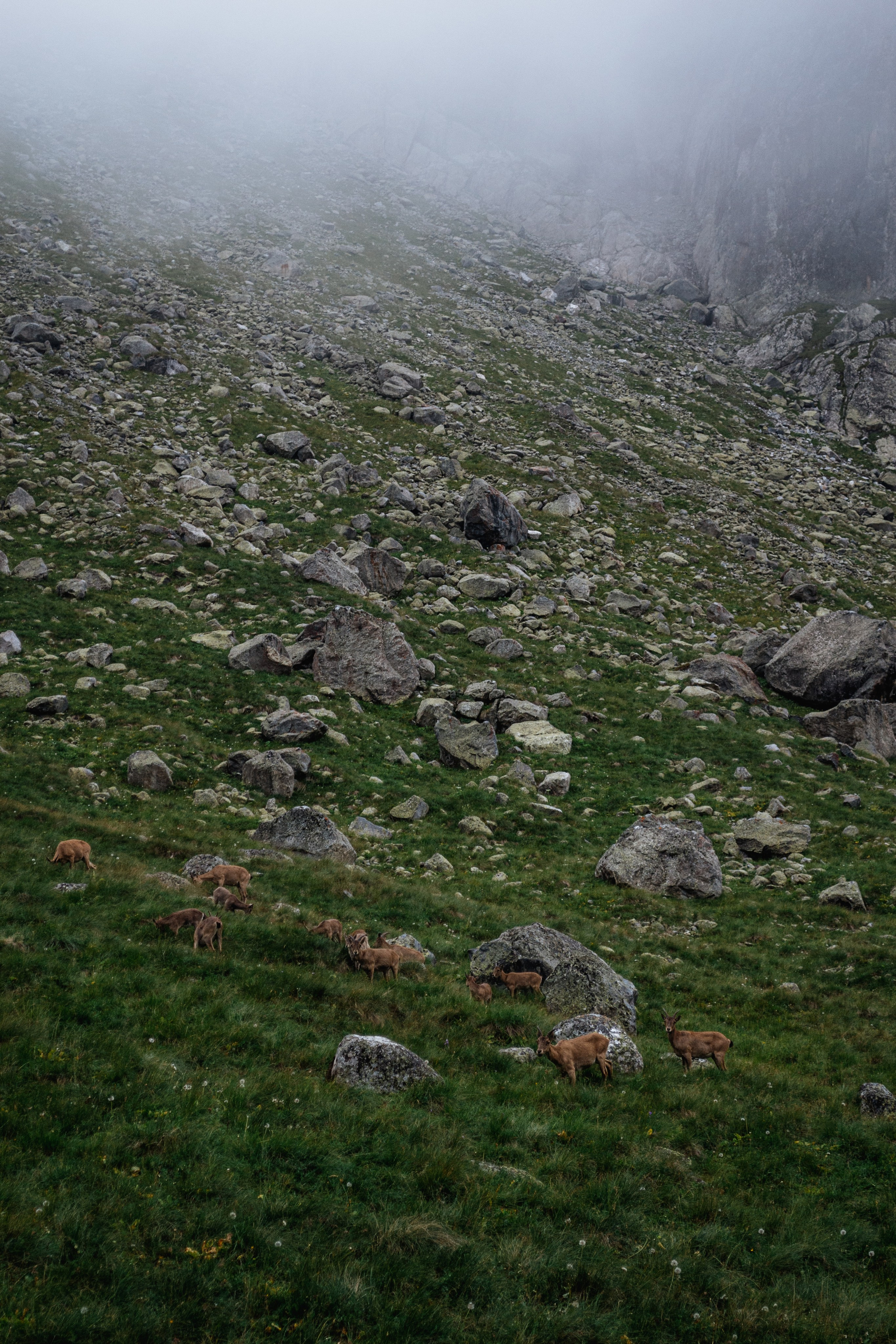 Альплагерь «Безенги». Фотограф Настя | Экспедиции и лайфстайл