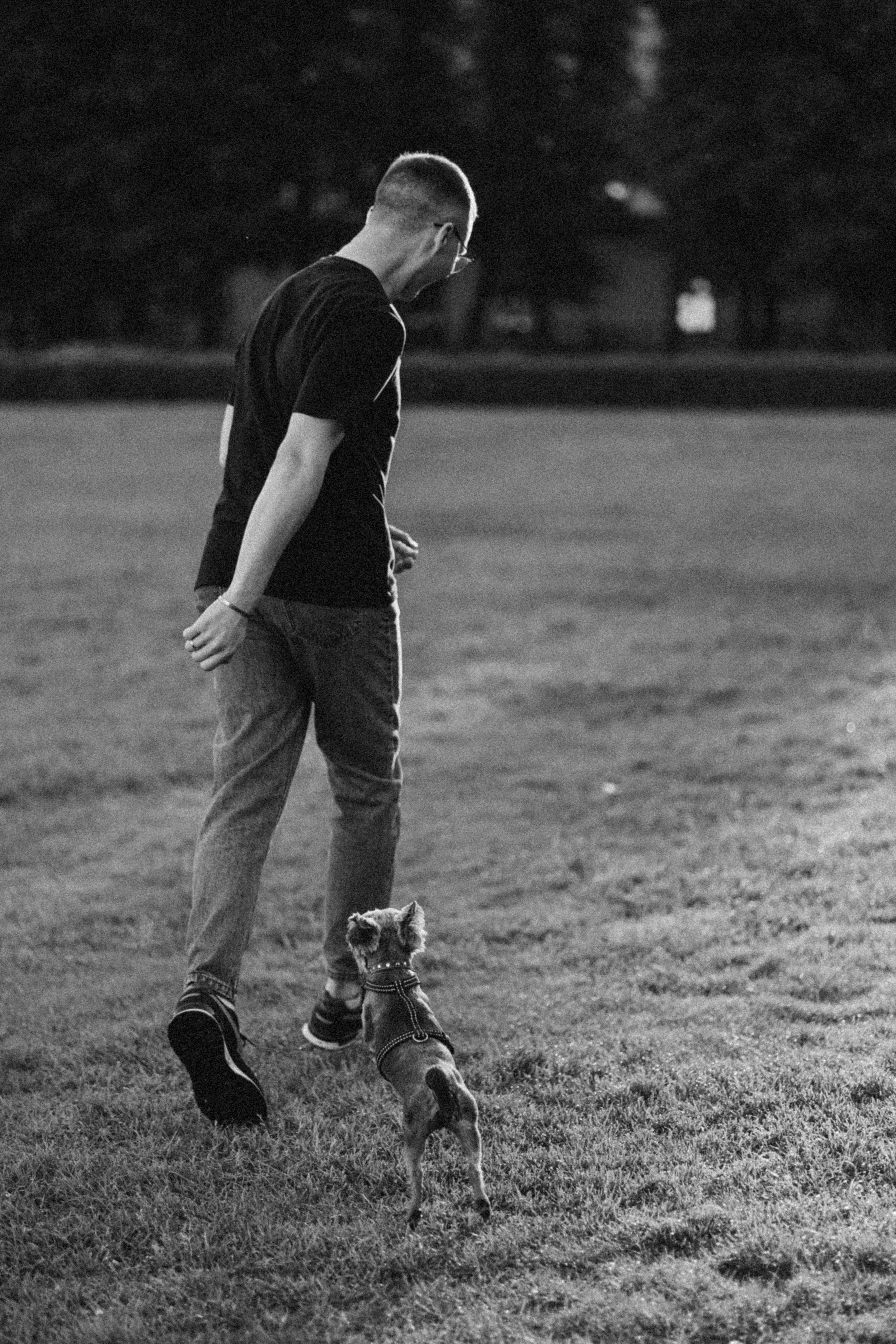 Филя и его семья. Фотограф — Анималист | Санкт-Петербург