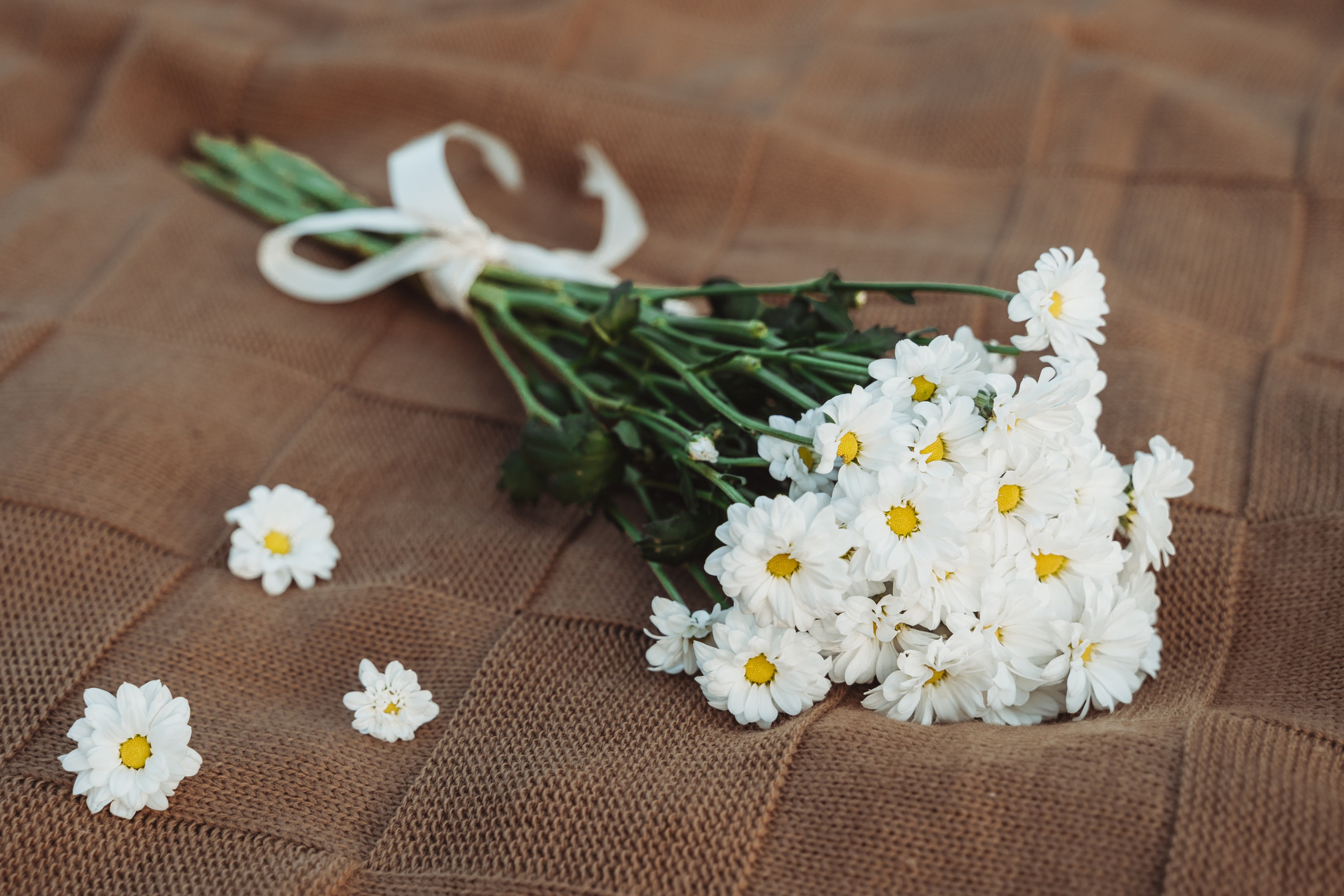 Лав стори фотограф Санкт-Петербург. Свадебный, семейный, портретный, репортажный фотограф в Санкт-Петербурге