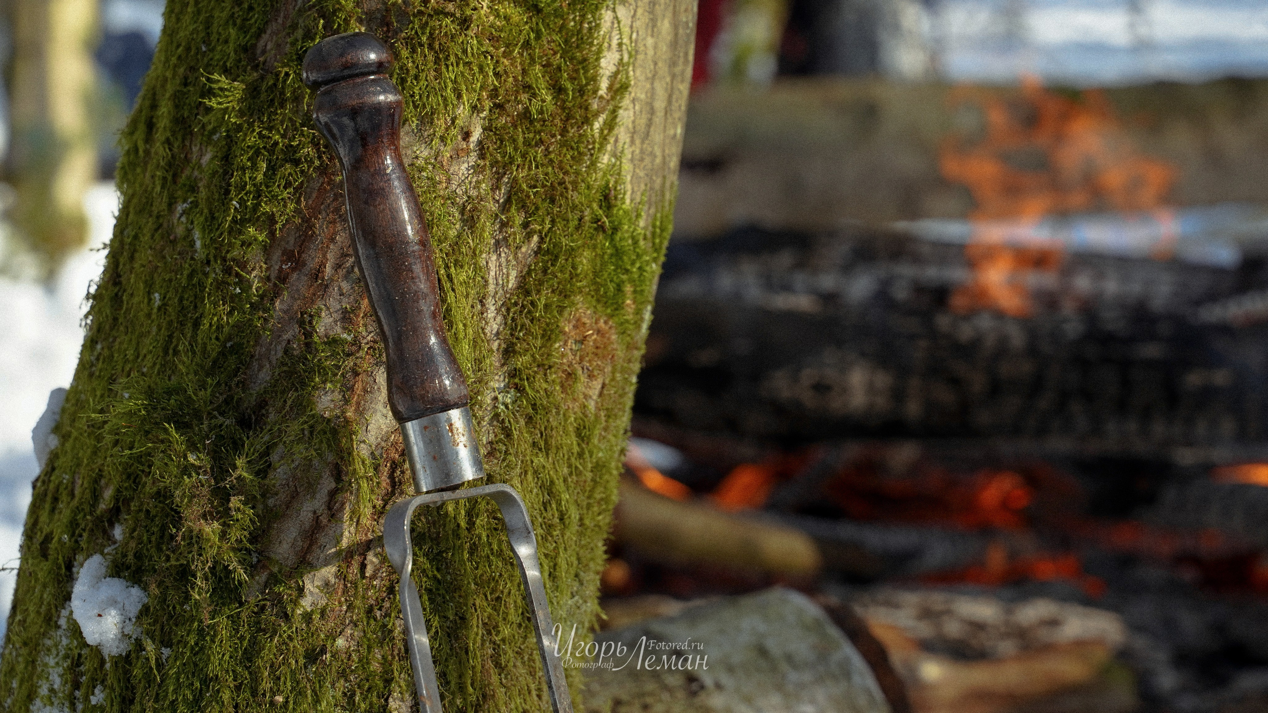 Поход. Свадебный и семейный фотограф Калининград Зеленоградск Светлогорск Леман Игорь
